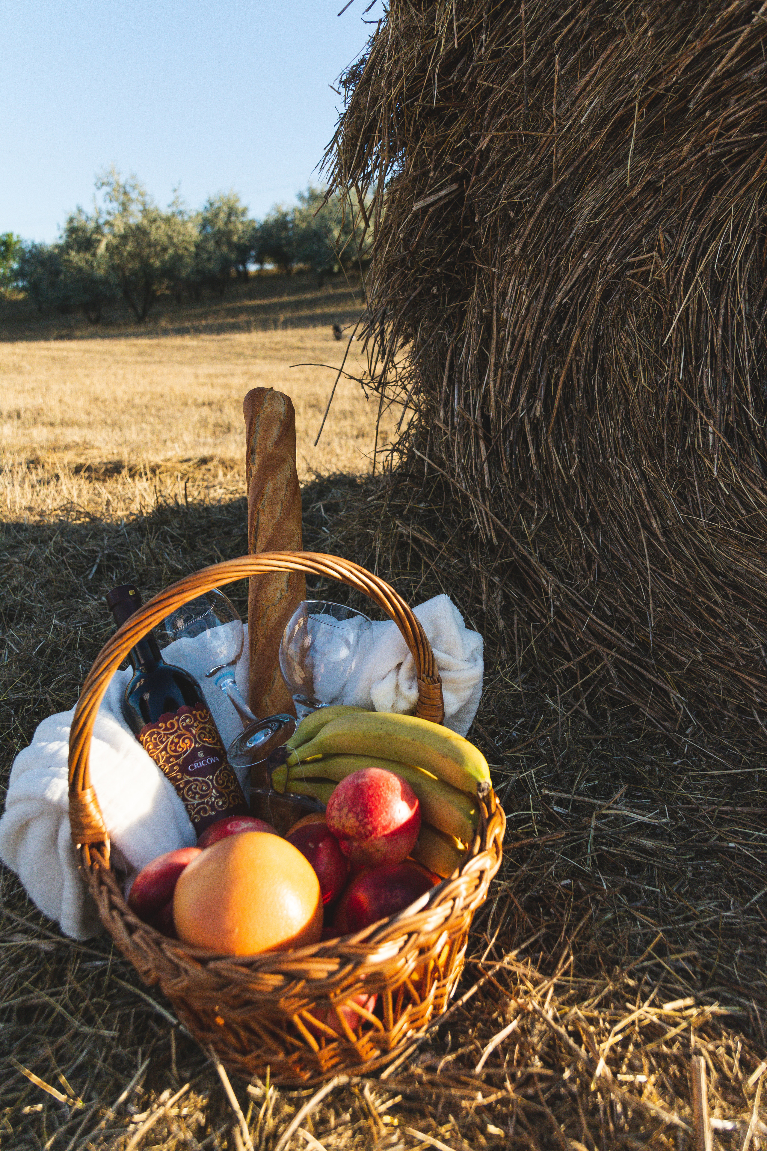 Семья / фотосет для семьи / семейный фотогаф