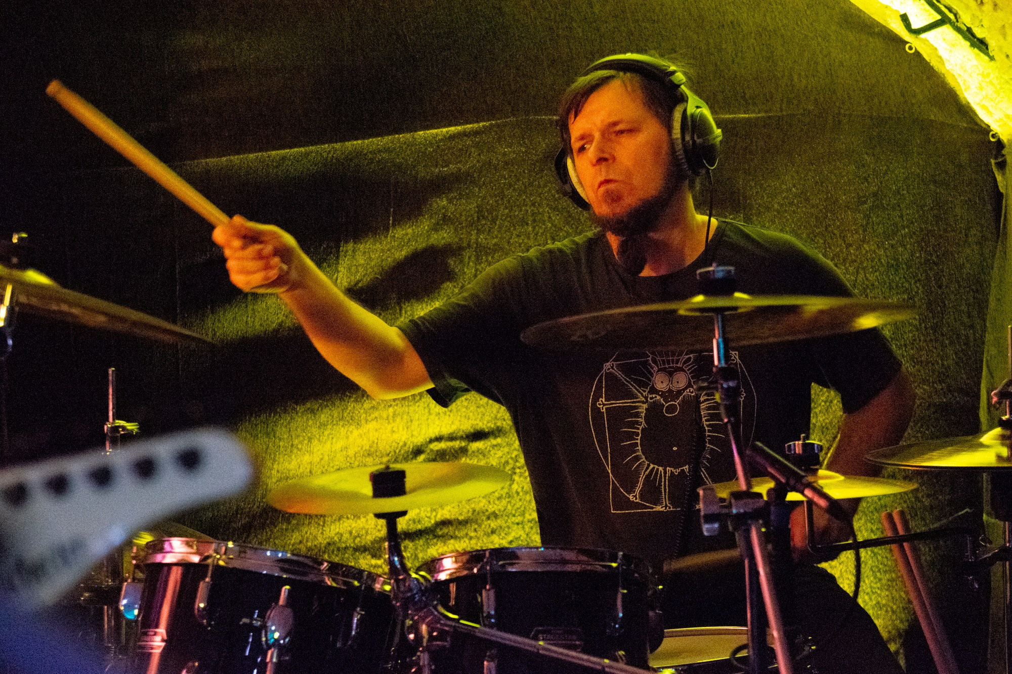 Концерты / фестивали / праздники