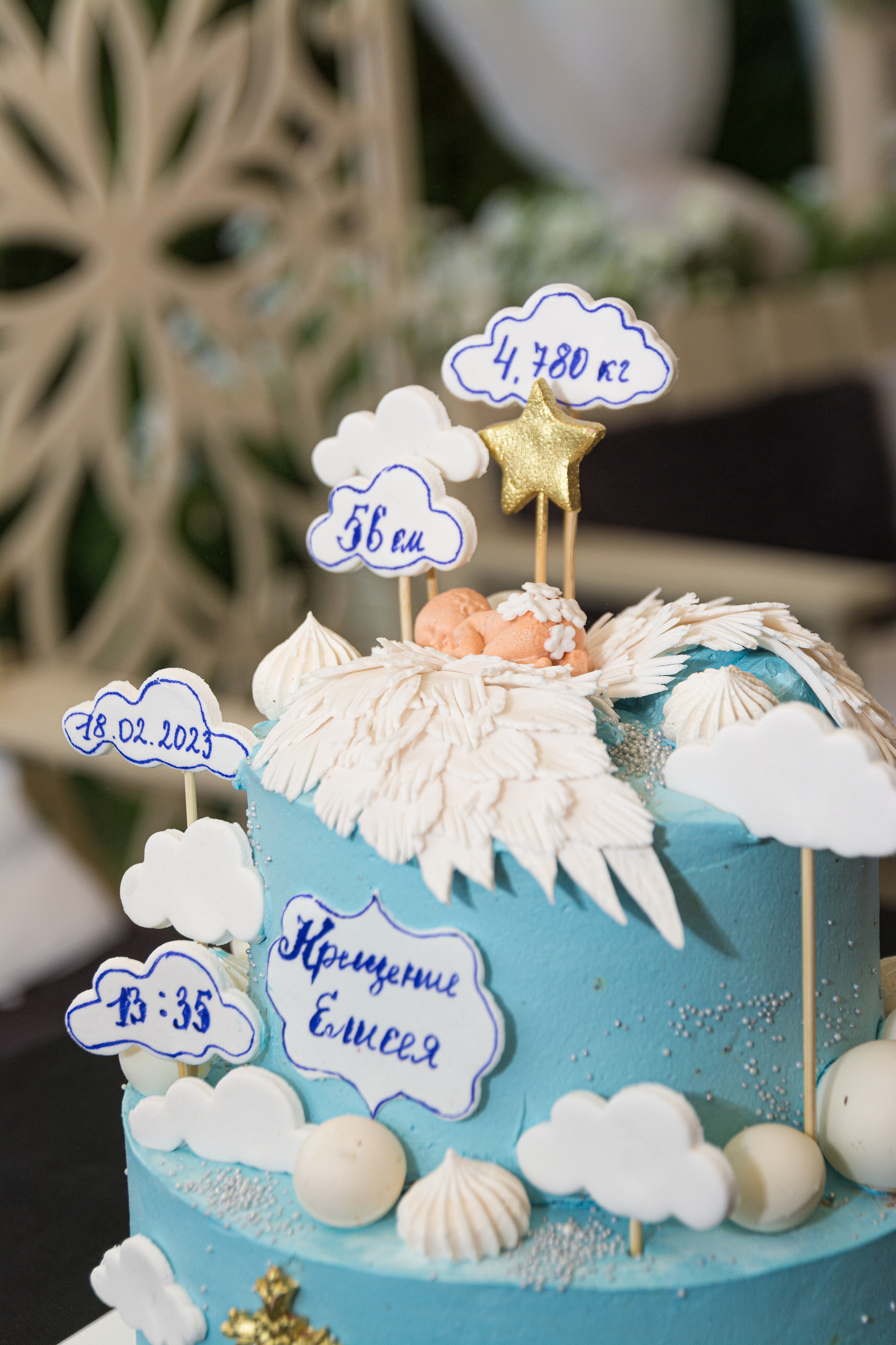 Праздники / семейные фото / свадьбы / свадебные фотосеты / репортажная съёмка