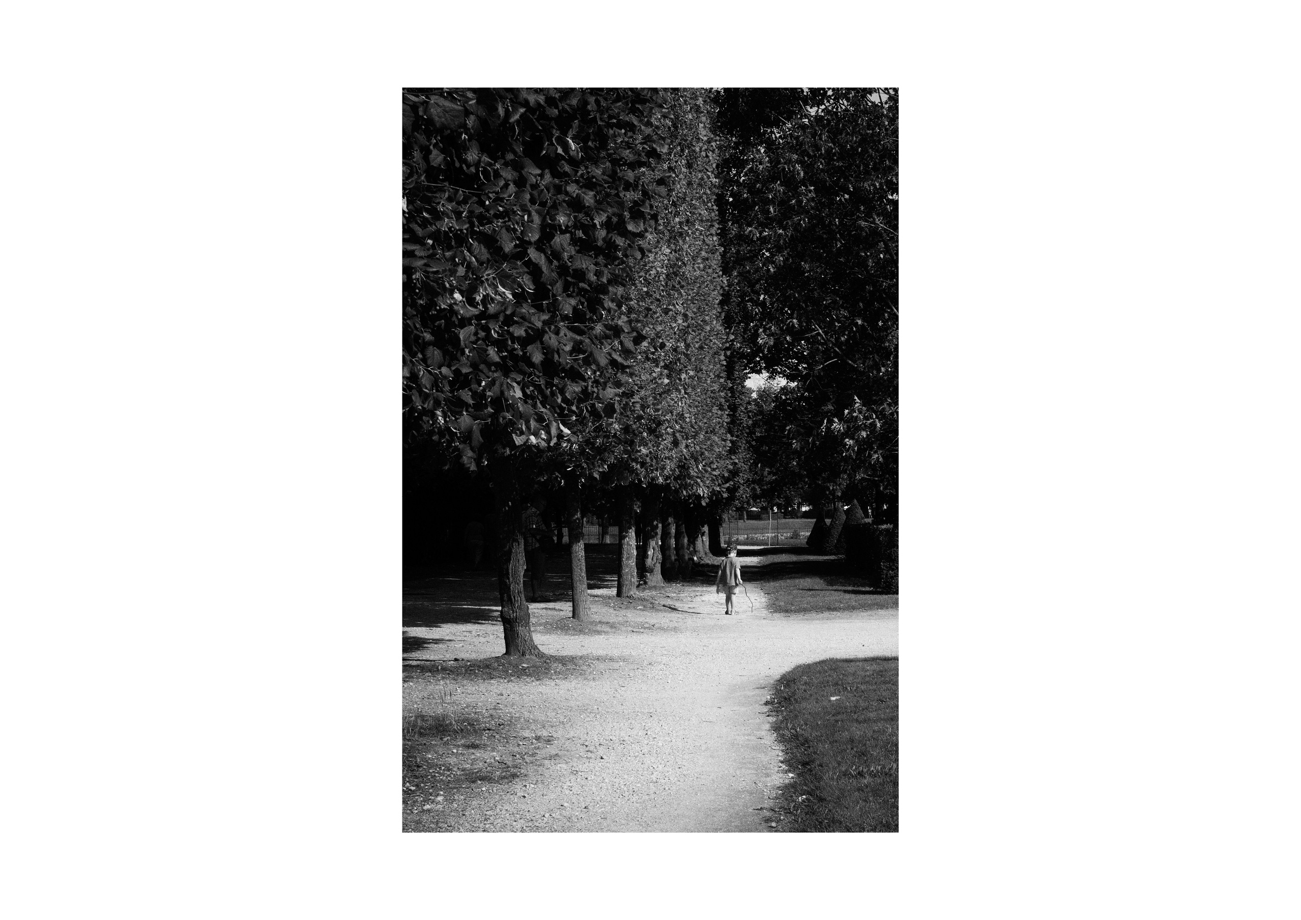 B&W. Cinema that you’ll never see