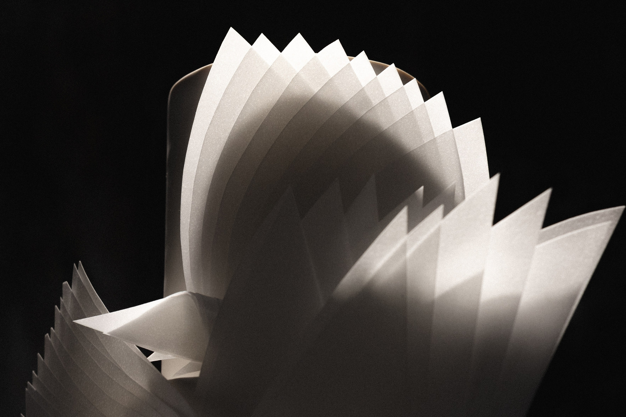 Aman & Leila «Свети другим, но не сгорай». Азимжан Нуритдинходжаев — свадебный фотограф