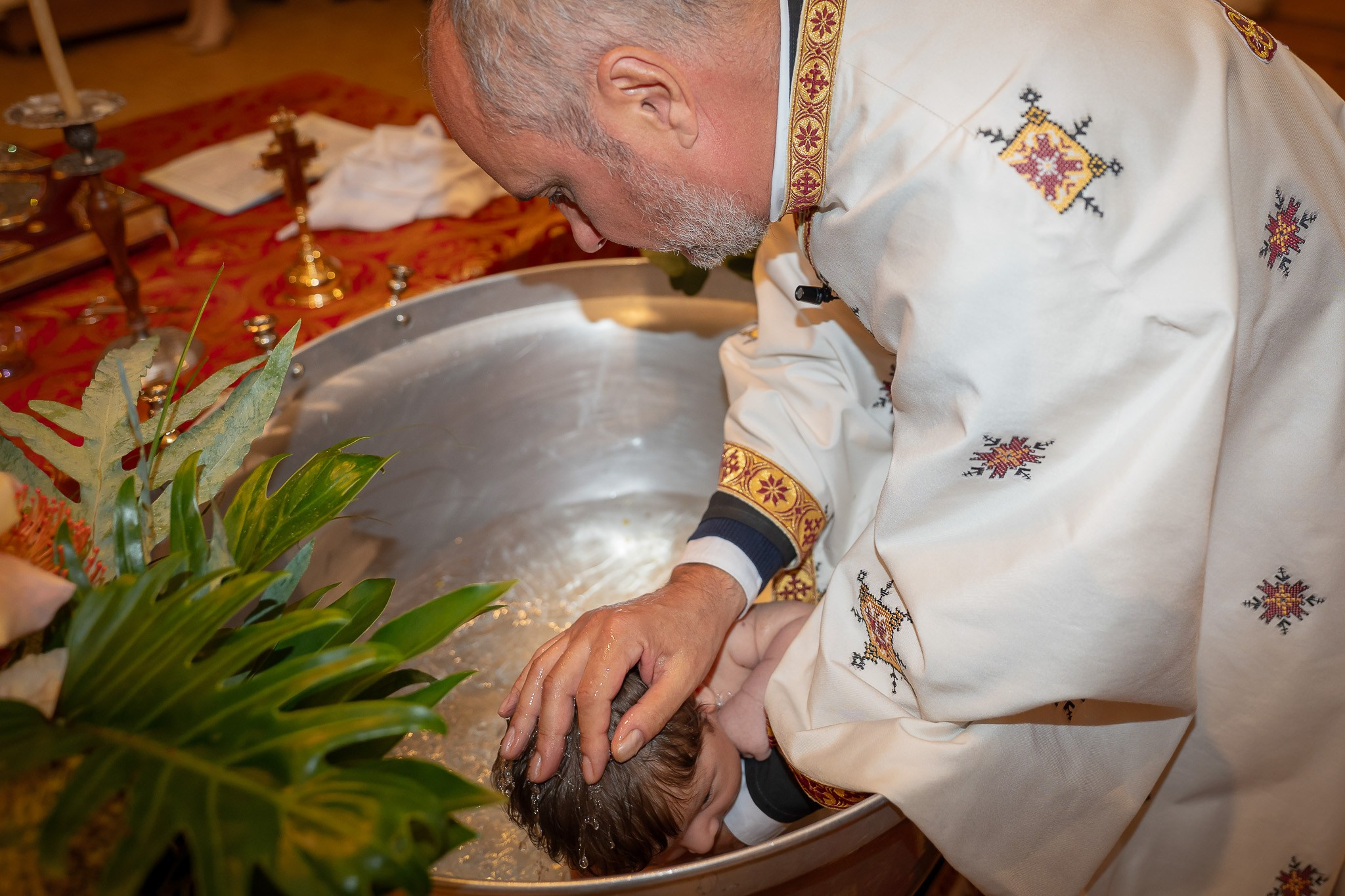 David. Fotograf Timisoara — GradArt Concept