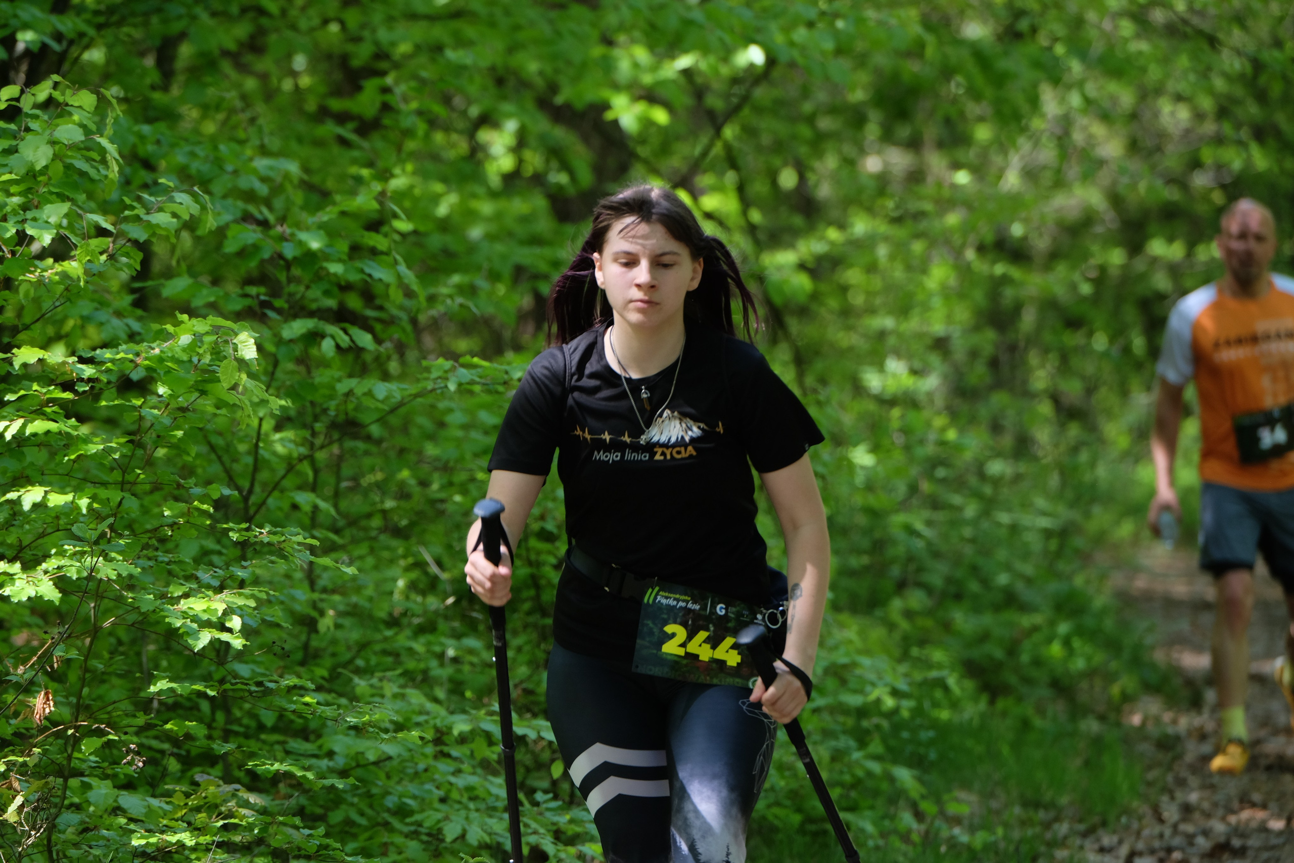 Aleksandryjska Piątka po lesie. Main