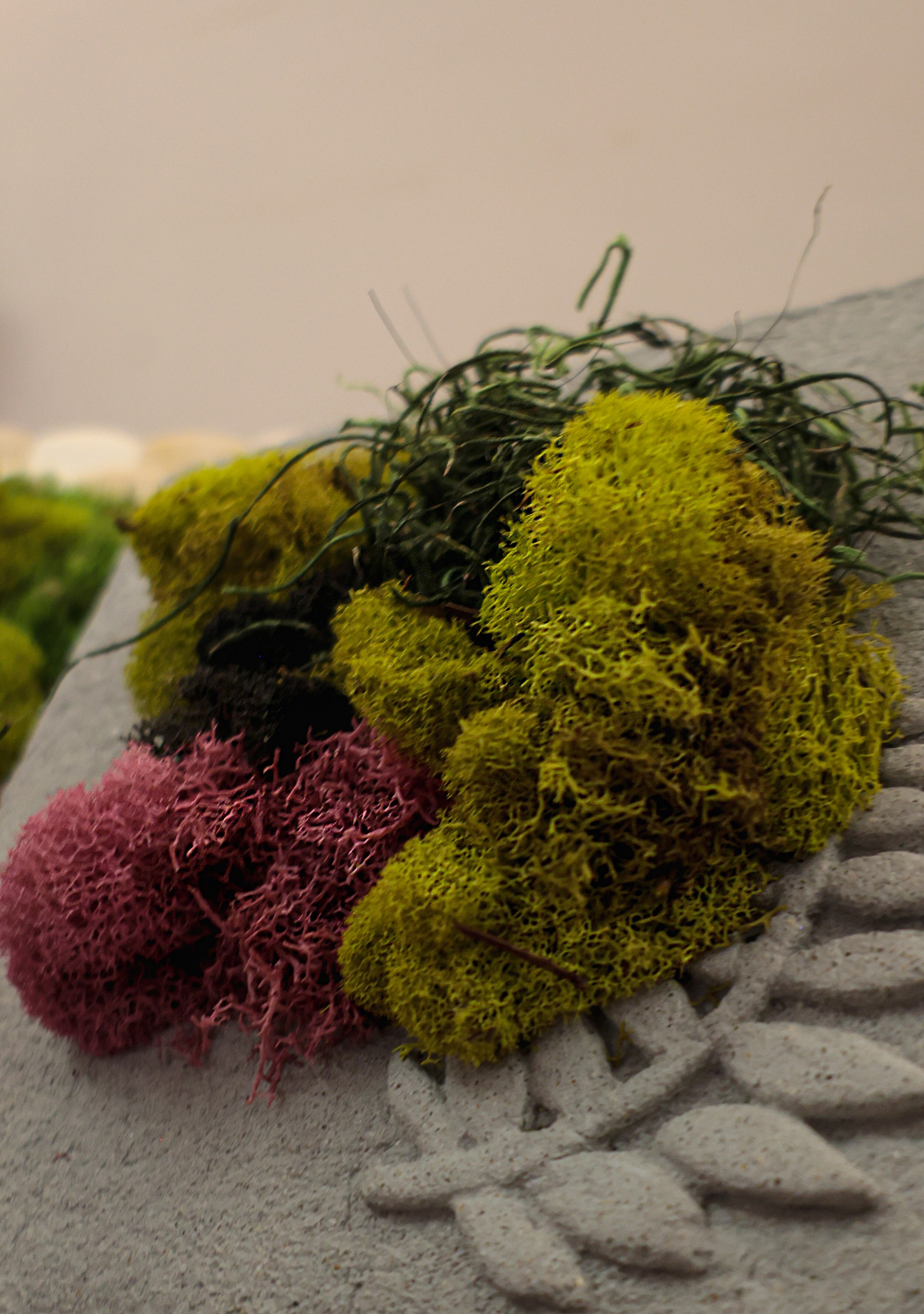 Anna & Moss magic, Content. Yana Bobrova | Artistic Photography