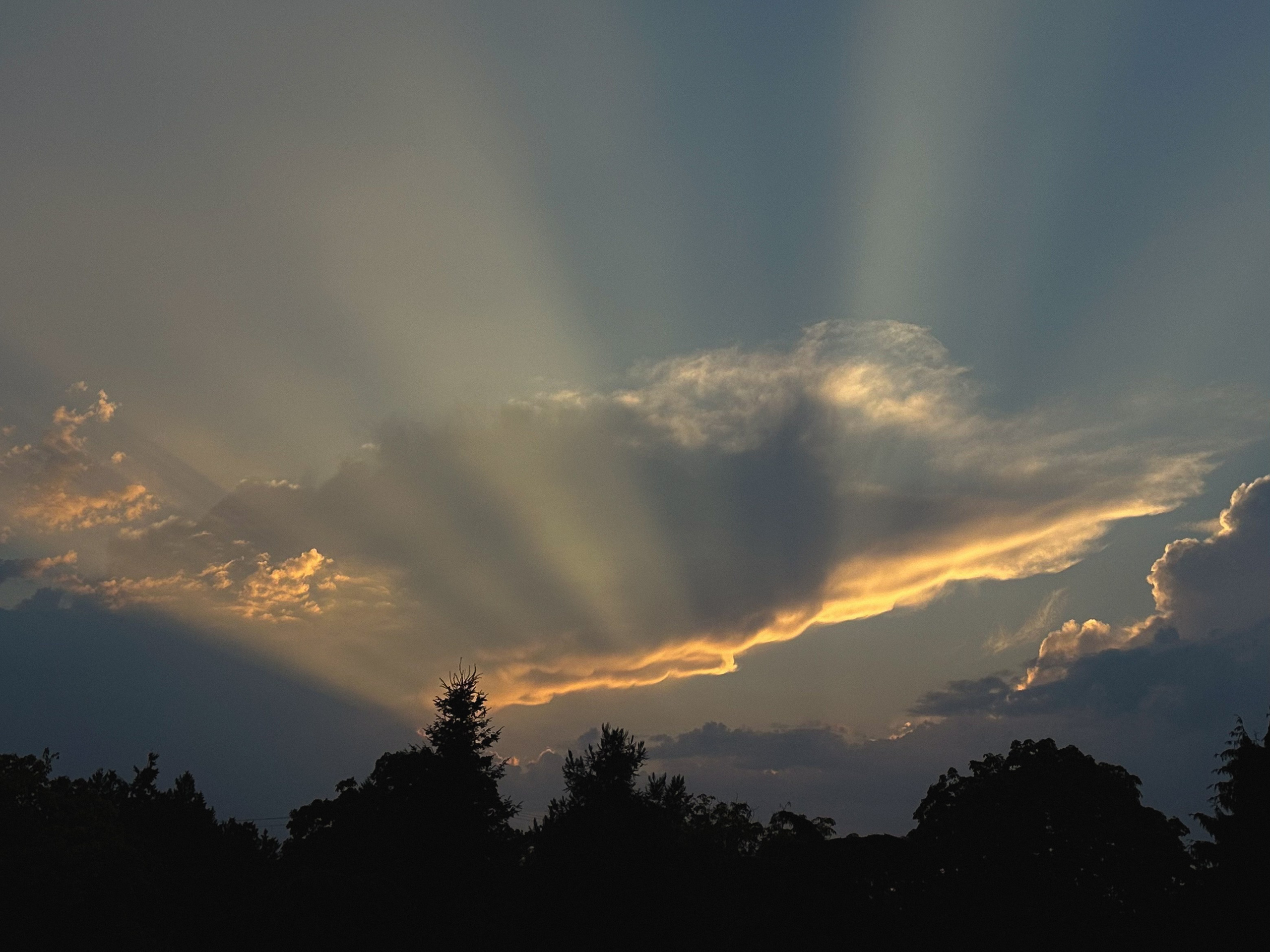 Anna’s Family. Yana Bobrova | Artistic Photography