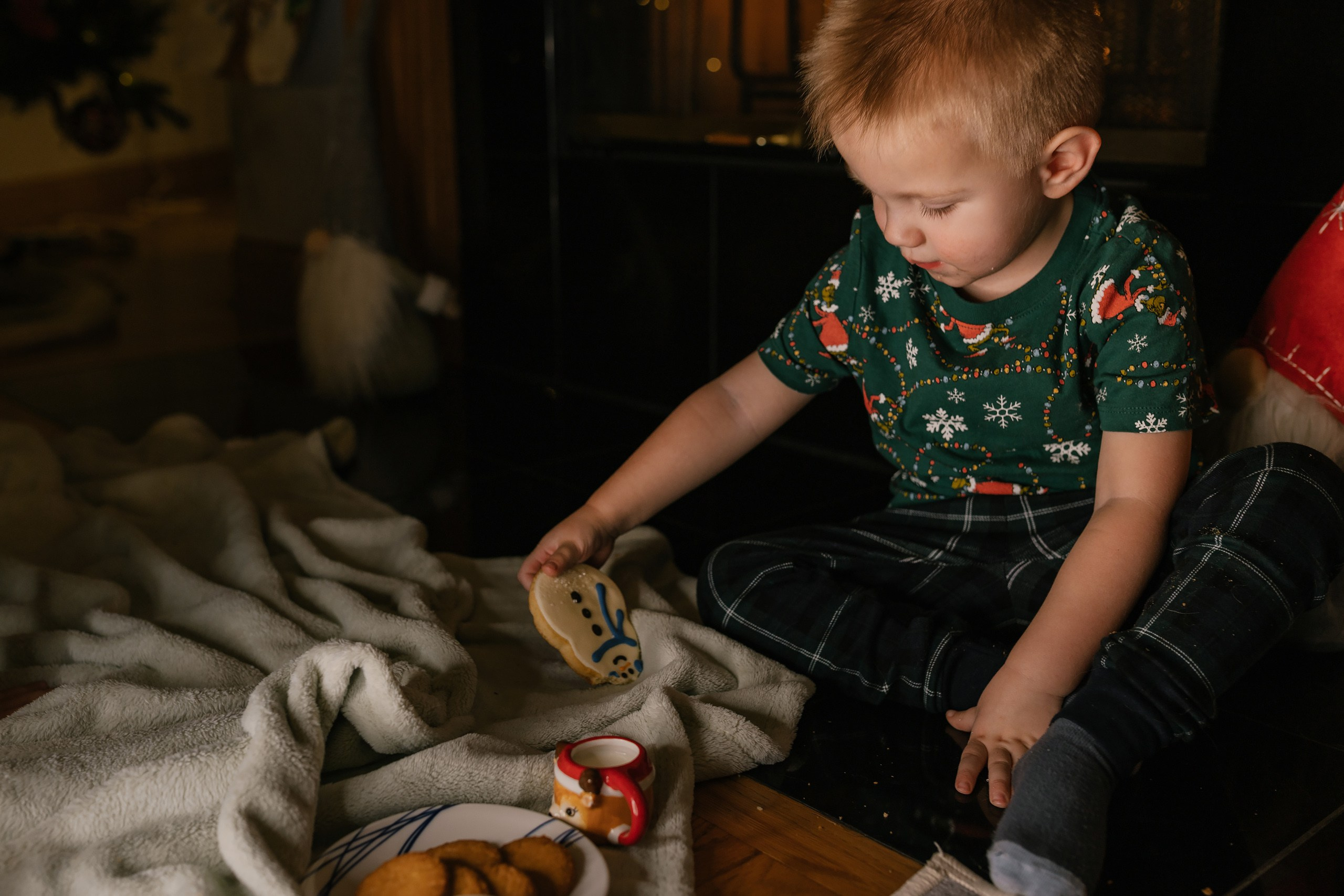 12.07.2025 Christmas Photoshoot. Wedding family event photographer in Chicago Nick Yushevich