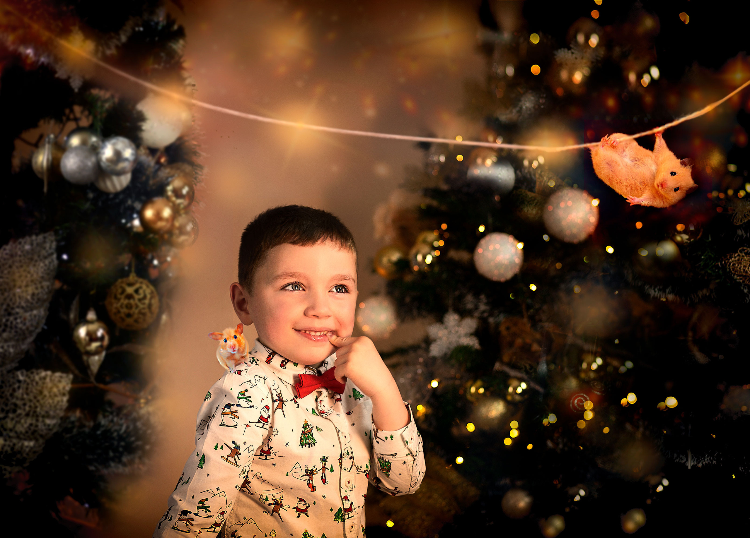 Children. Communion, Weddings, Fashion, Portrait photographer in Ireland