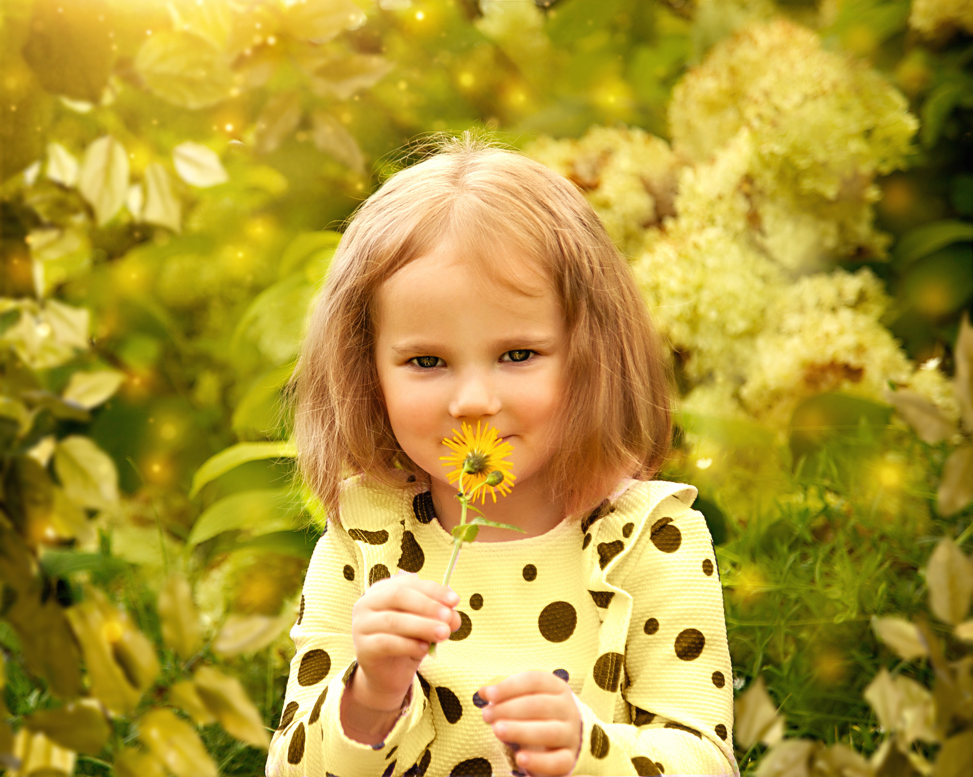 Children. Communion, Weddings, Fashion, Portrait photographer in Ireland