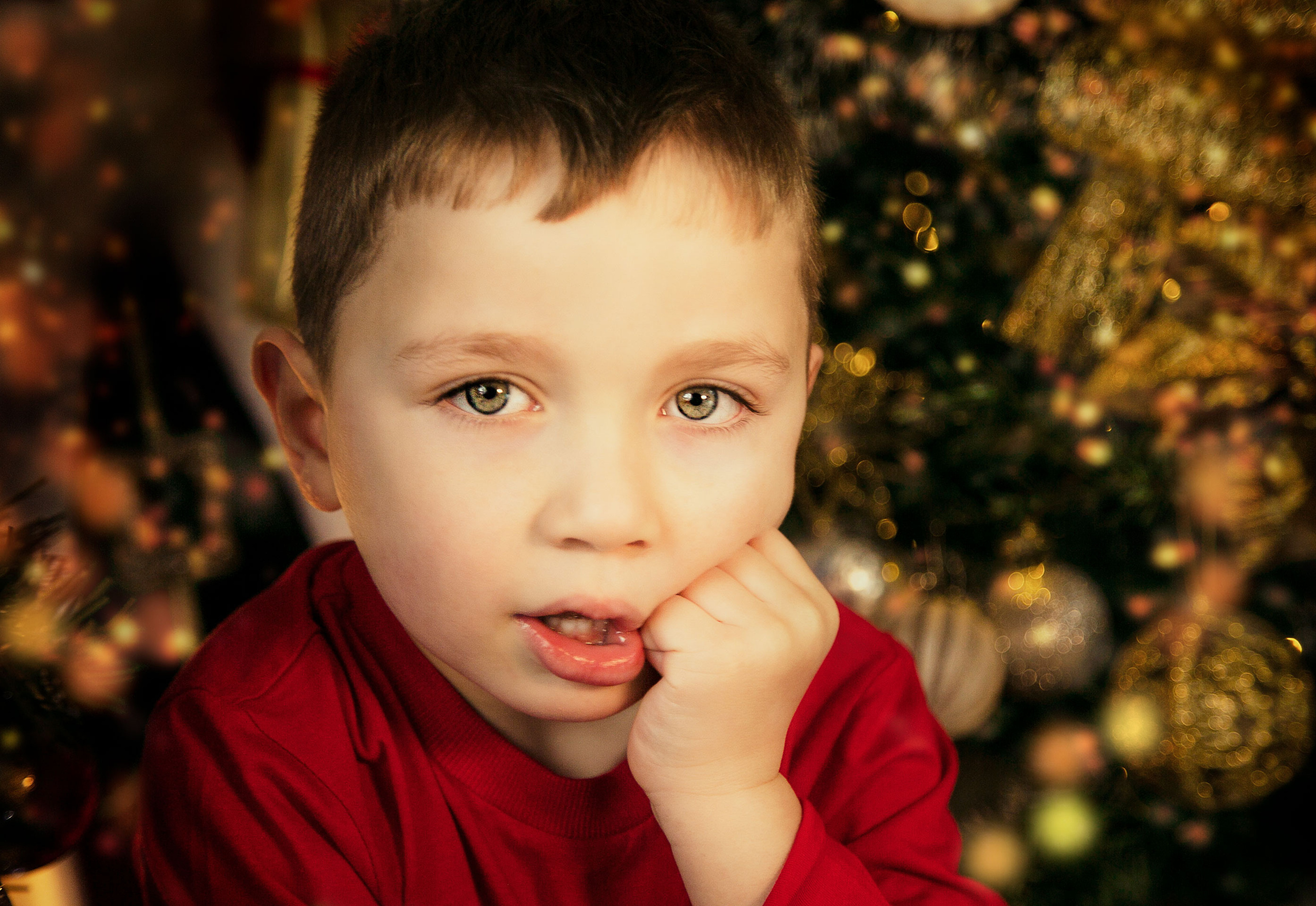 Children. Communion, Weddings, Fashion, Portrait photographer in Ireland