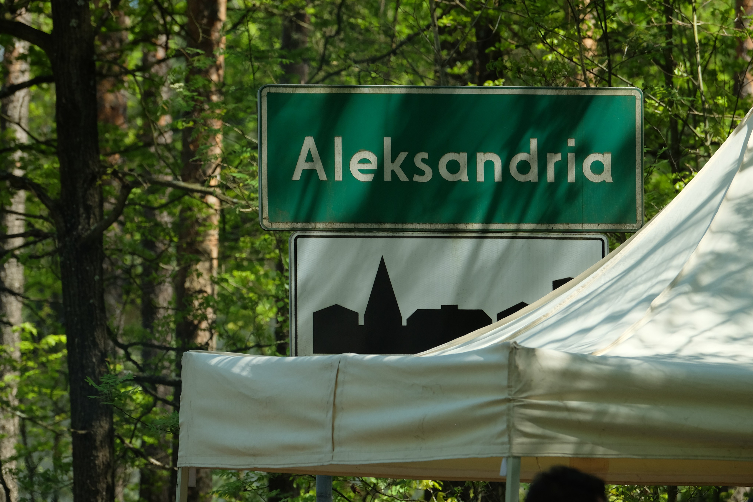 Aleksandryjska Piątka po lesie. Main