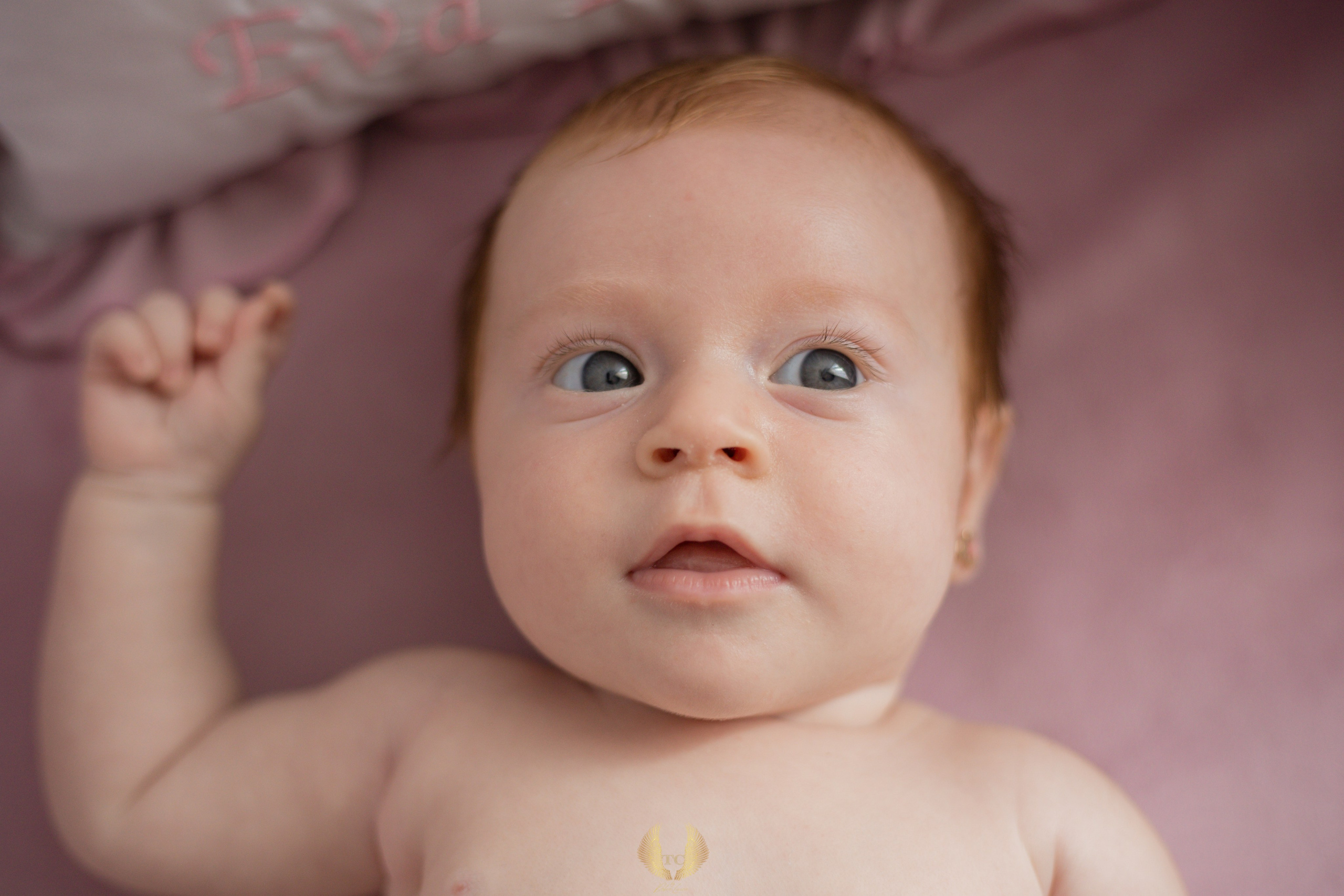 Eva Ioana. Fotograf si videograf — evenimente si studio