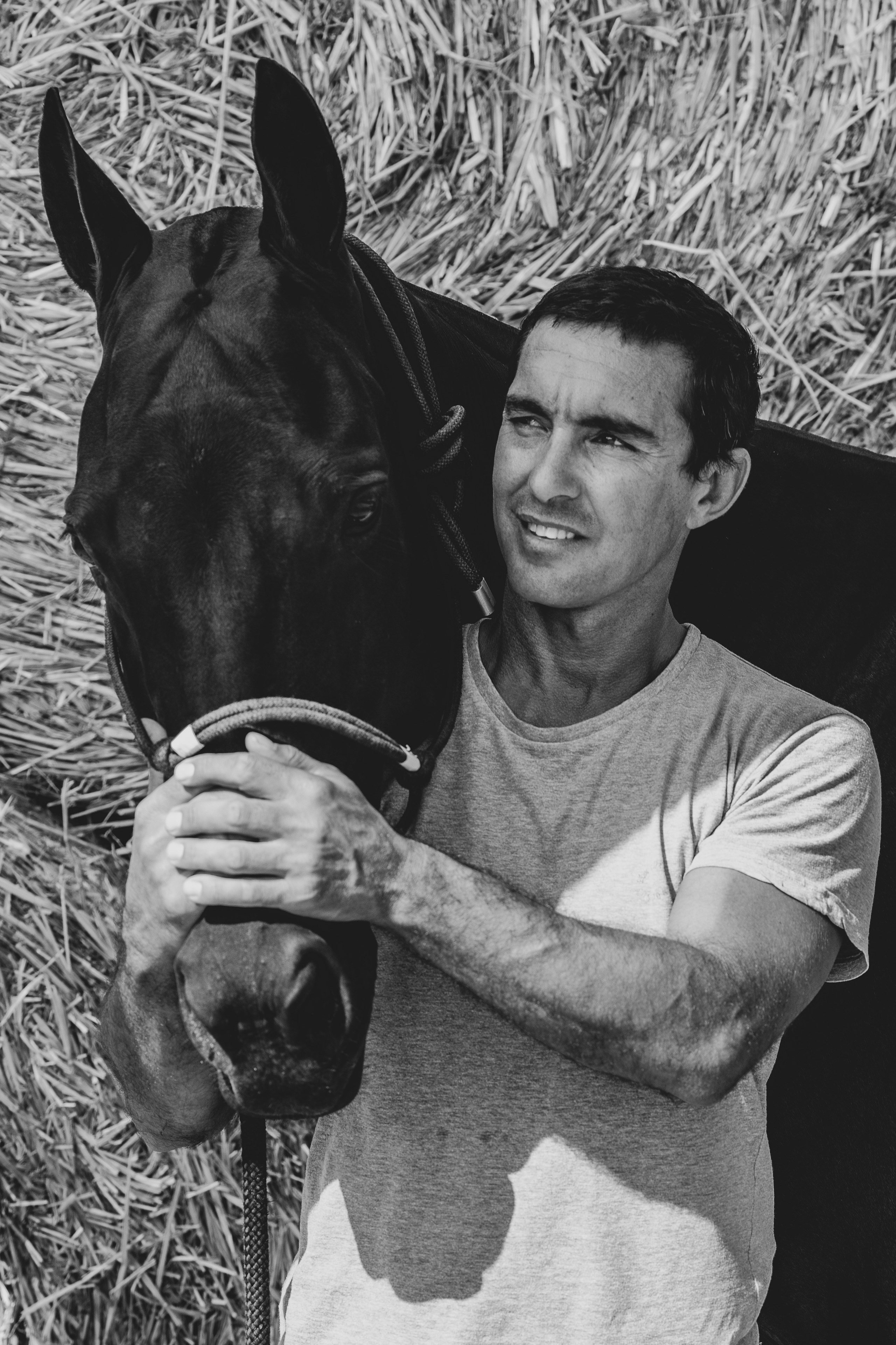 Photo shoot with horses