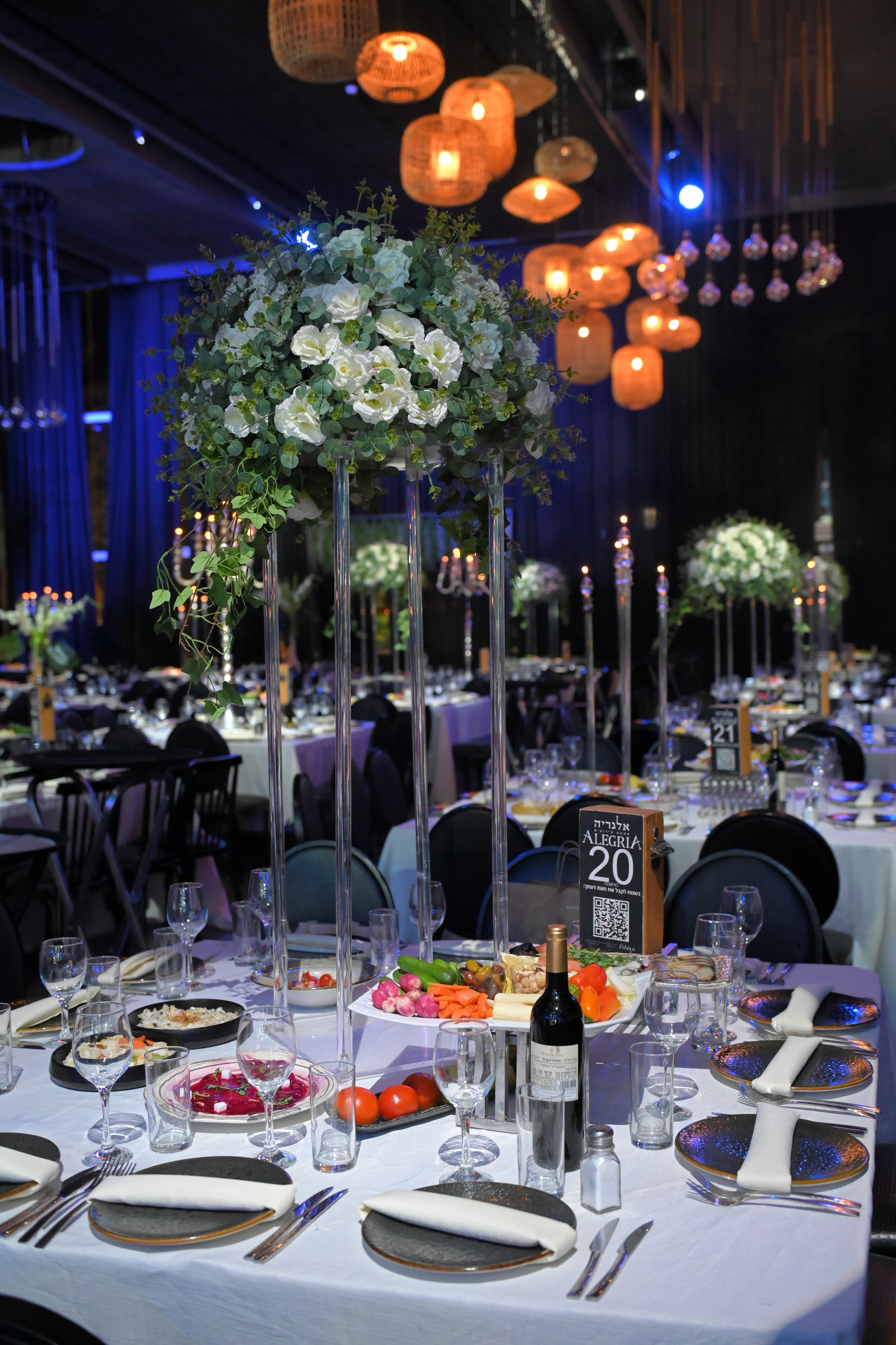 Ronen & Mazal. Wedding and events photographers Studio Shalom