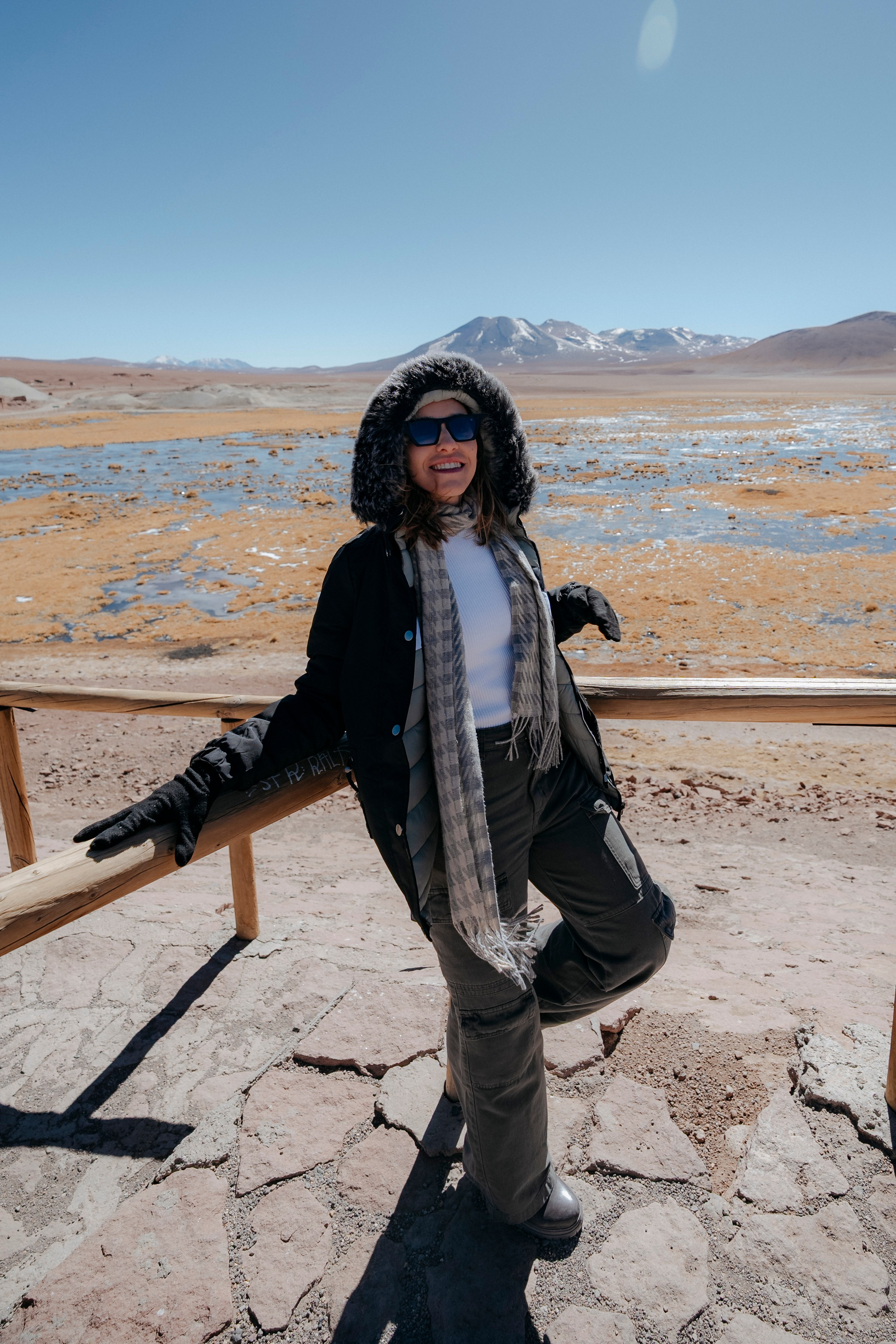 Geyser El Tatio (cobertura en tour privado). Principal