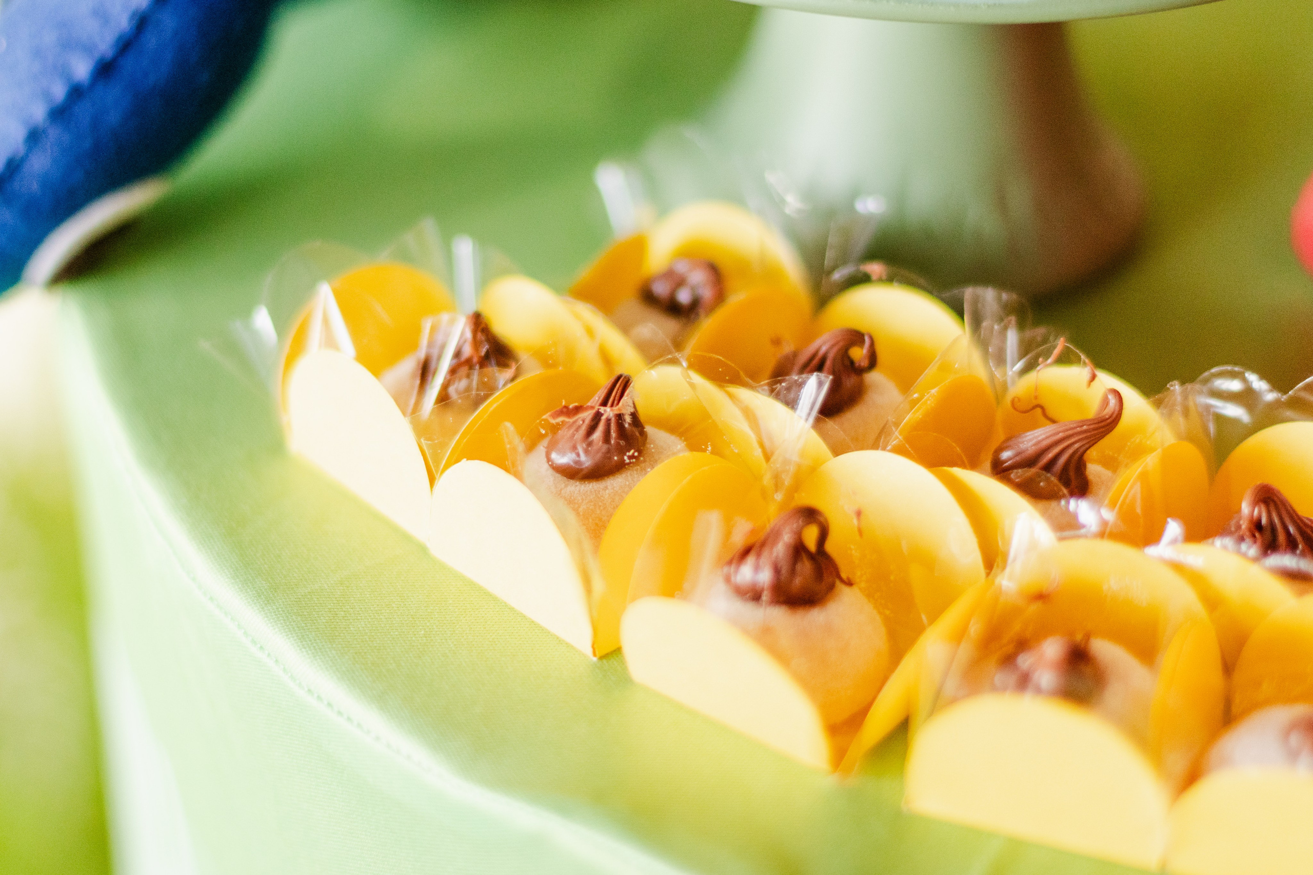 Matteo — Aniversário 1 ano. Principal