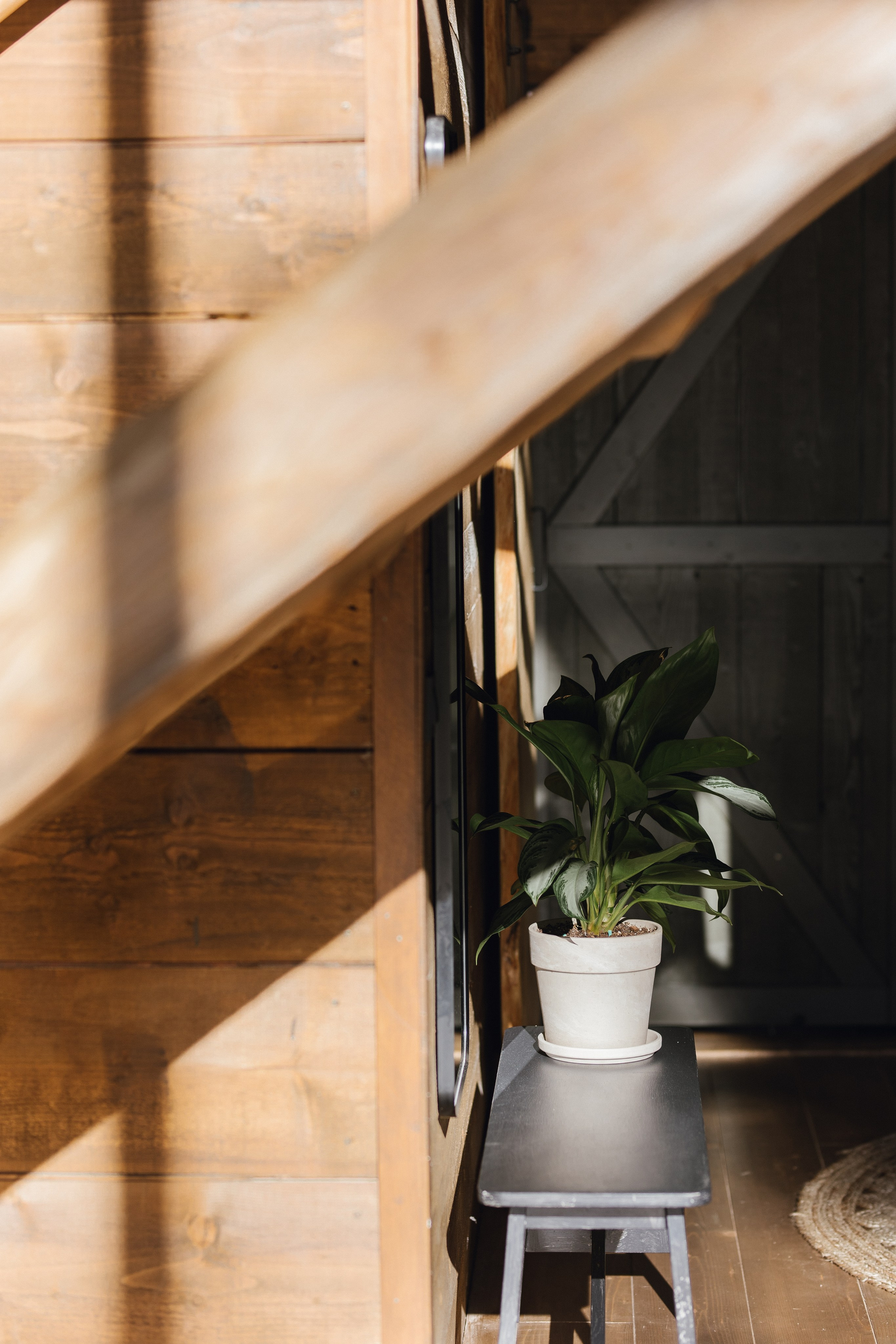 Airbnb Photos. Patricia Morenci — Mountain Adventures for the Wild at Heart