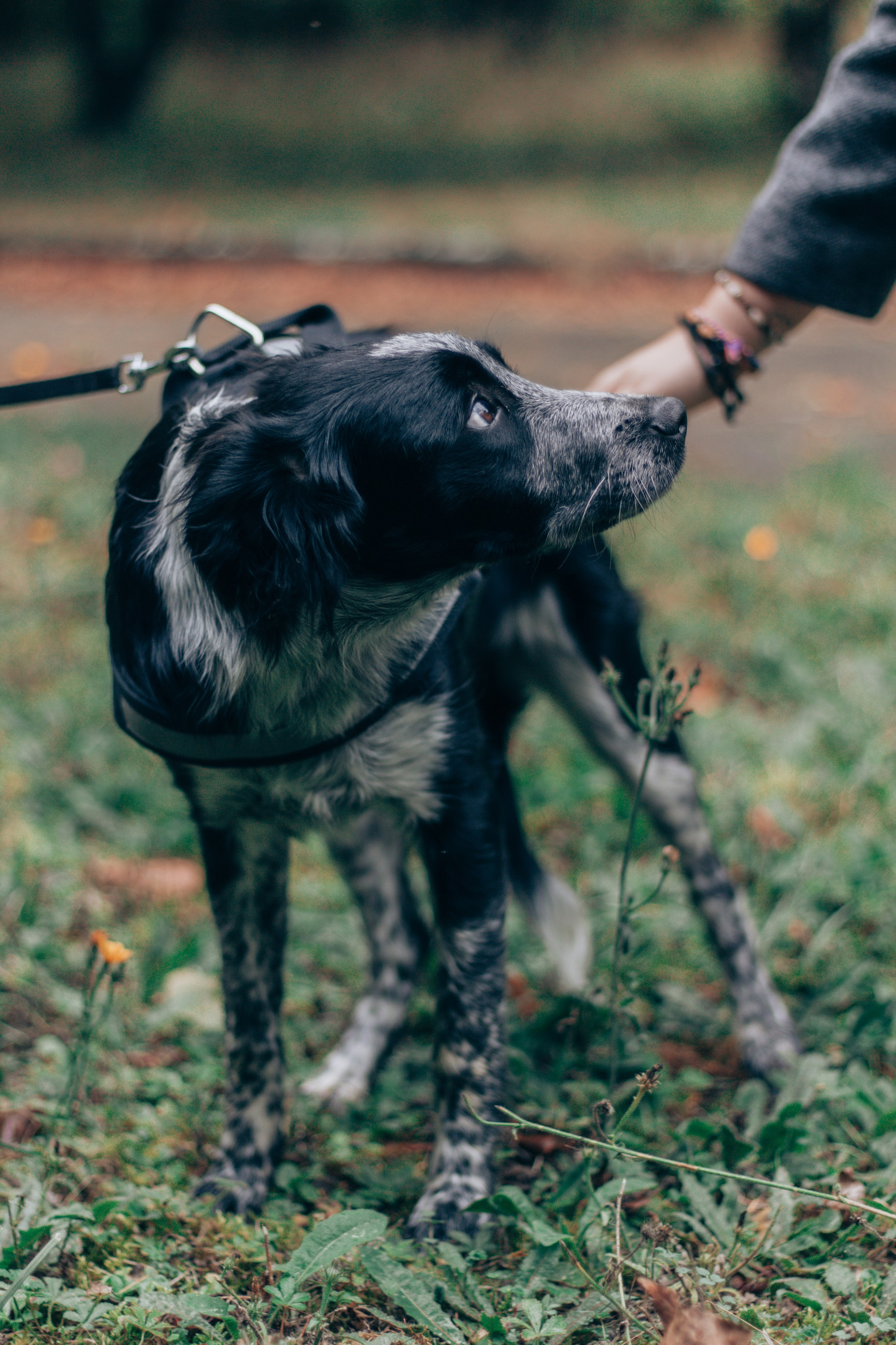 Johanna et sa famille. Studio photo « Partage ton bonheur » – Photographe famille près de Châtellerault, Poitiers et Tours
