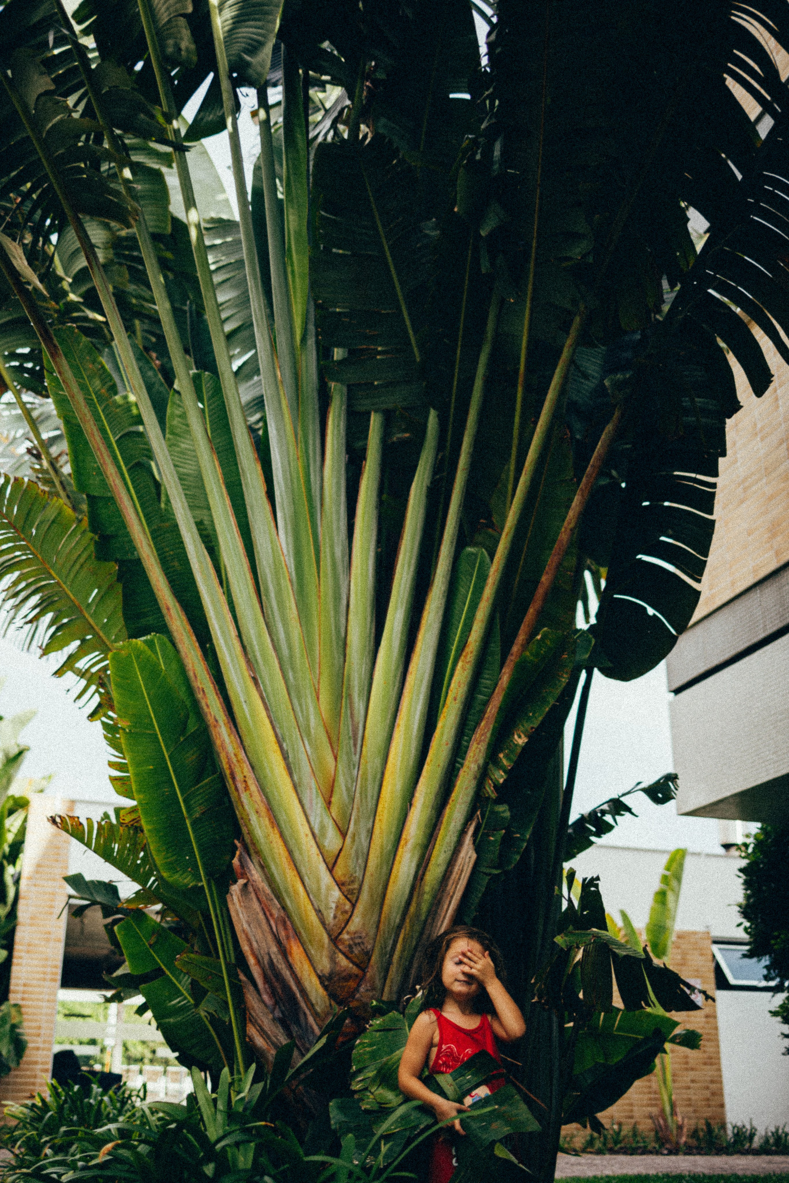 Teddy’s 4 Months. Fotografa documental de familia e nascimento em Florianópolis SC Daria Ermolaev
