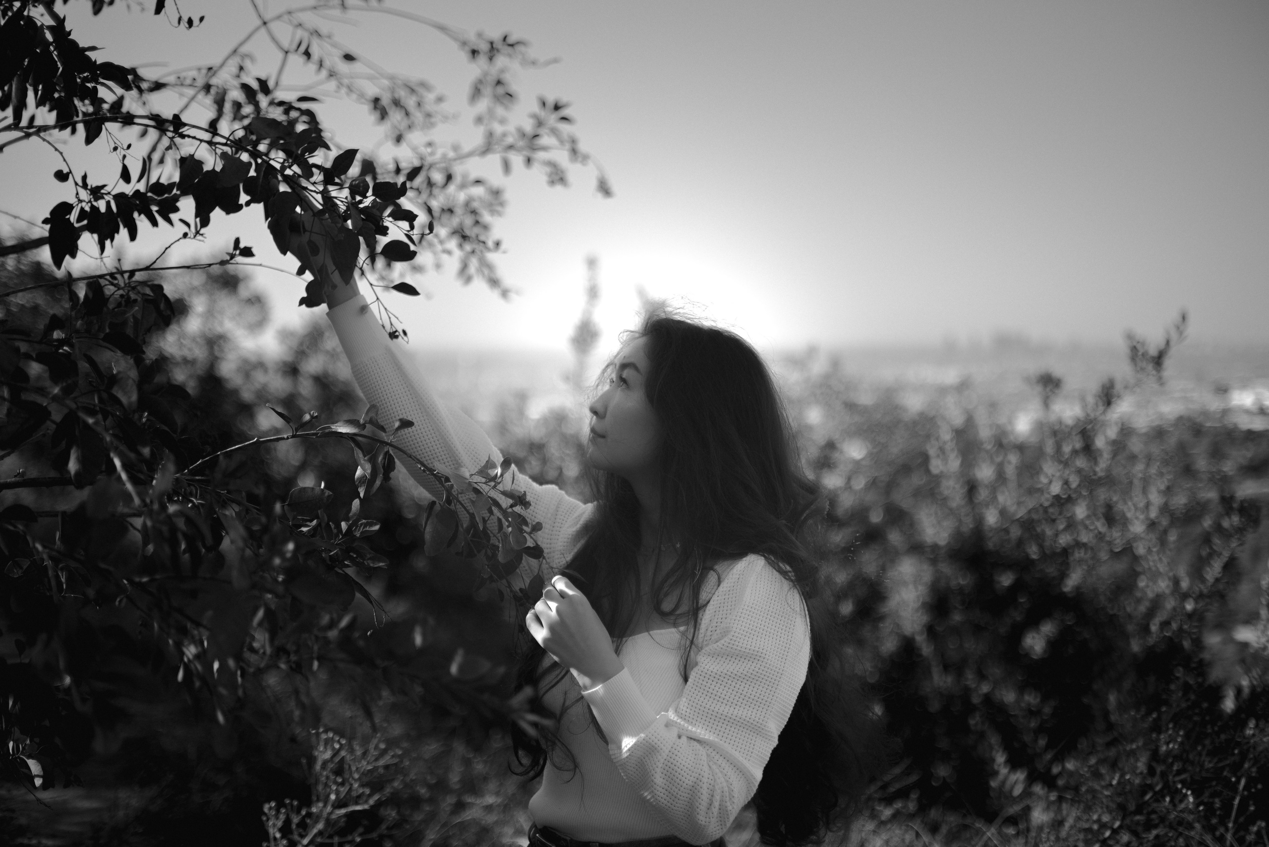 Adinai | Griffith Park. Photographer in Los Angeles. Julia Ishmuratova