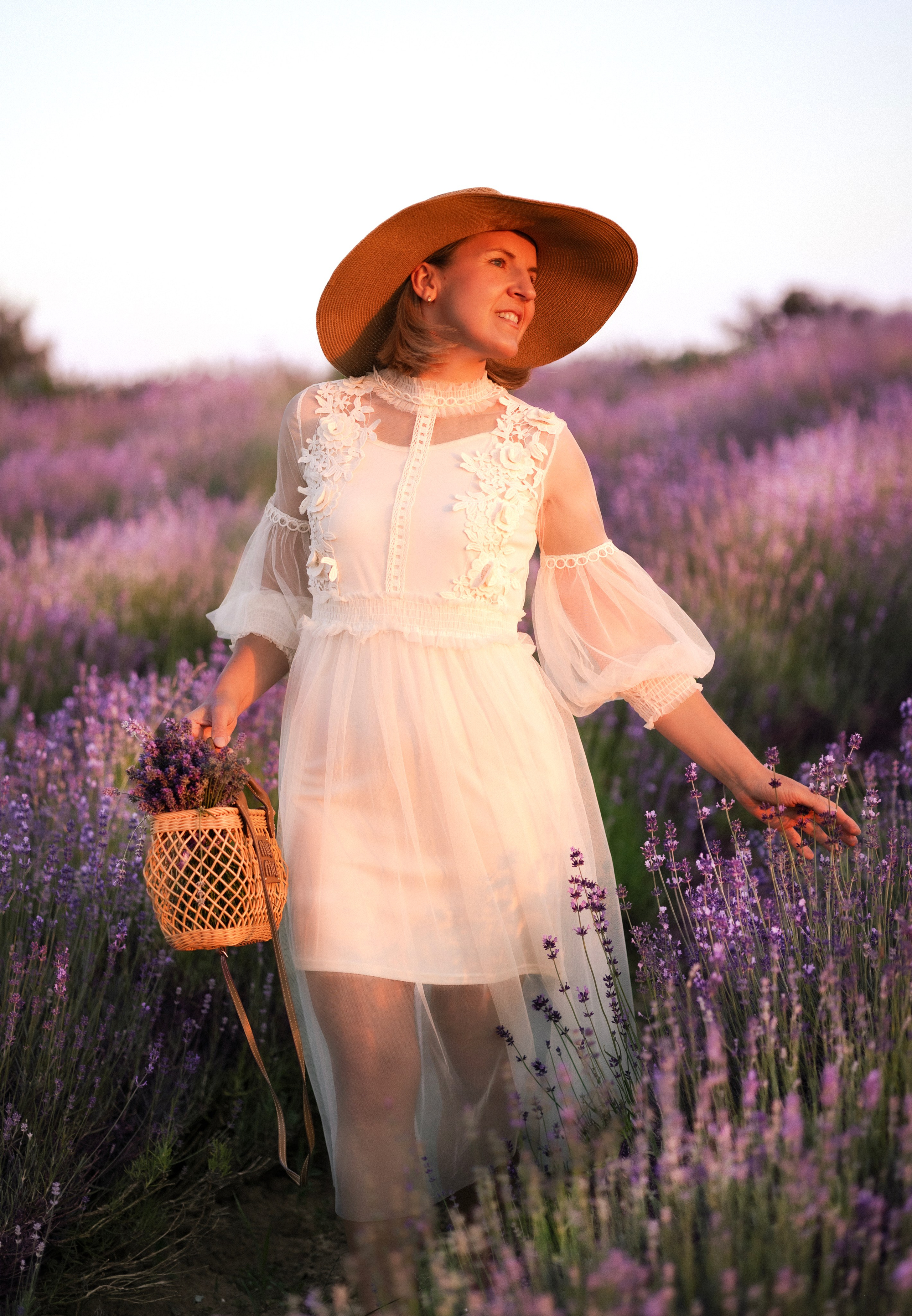 Lavendel. Photographer in Munich