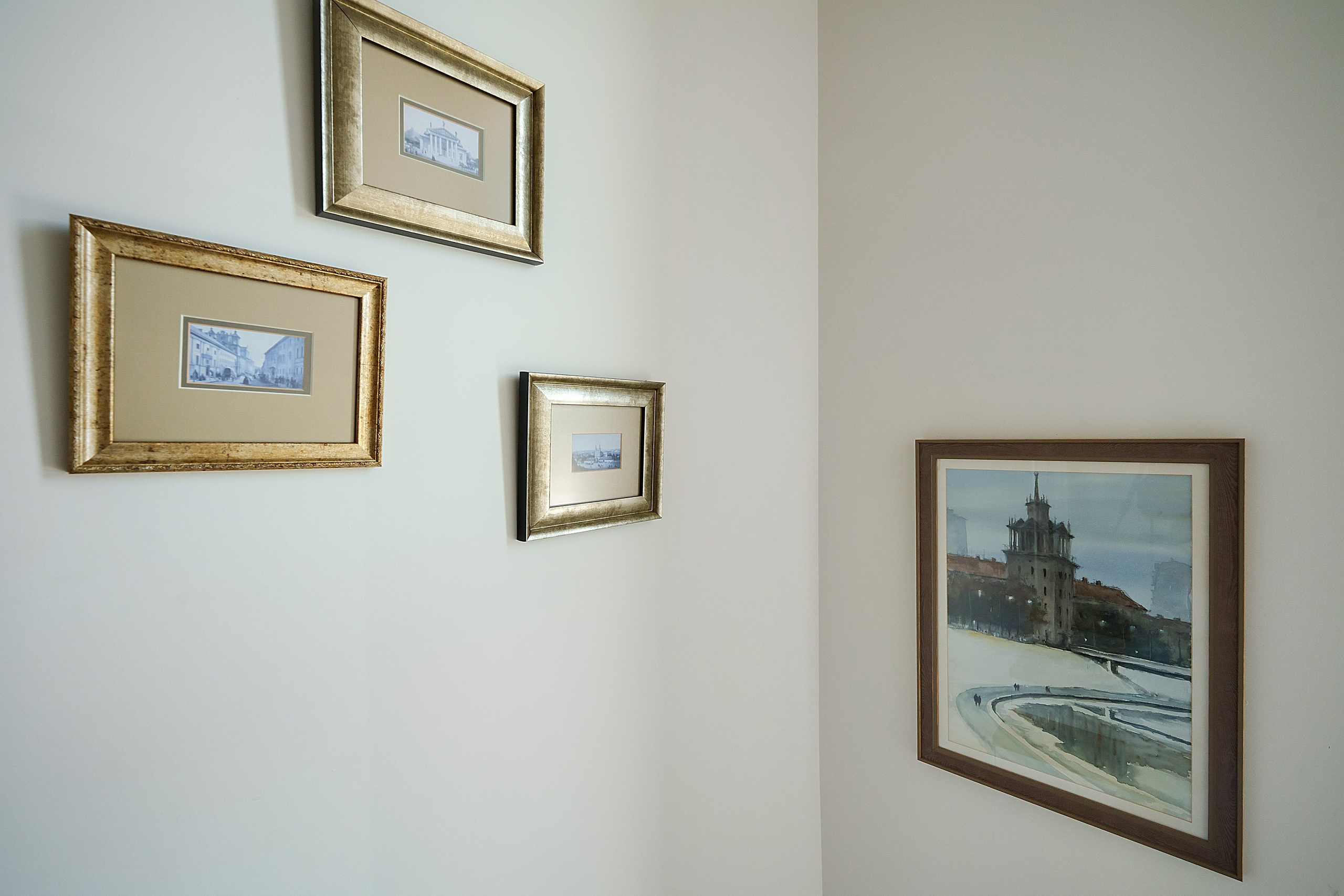 Ginetiškės, Pakonių g. Elina Sapiega fotografė Vilniuje