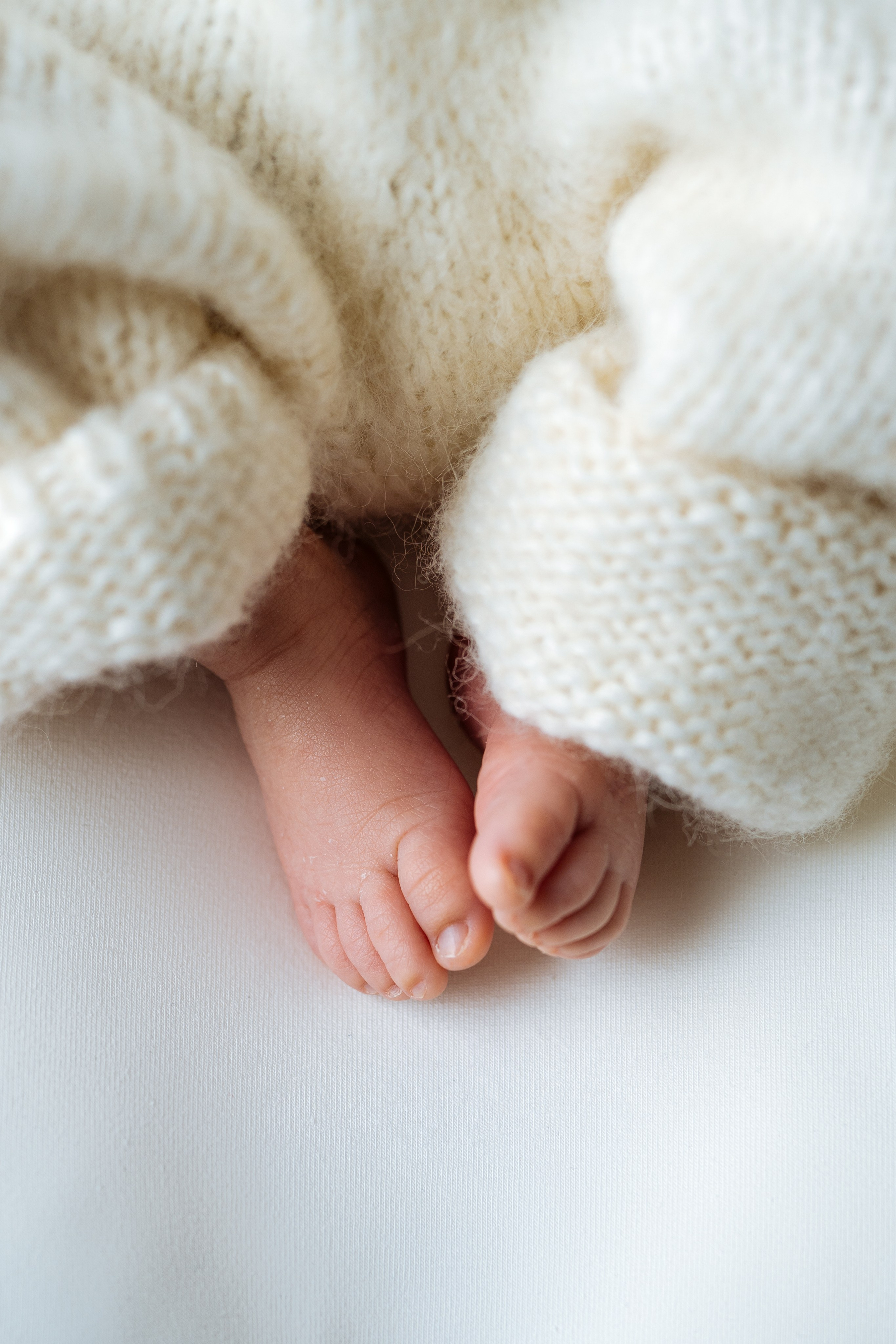 Newborn Studio. Katerina Sellitti - Newborn Fotografin aus Bern. Schweiz