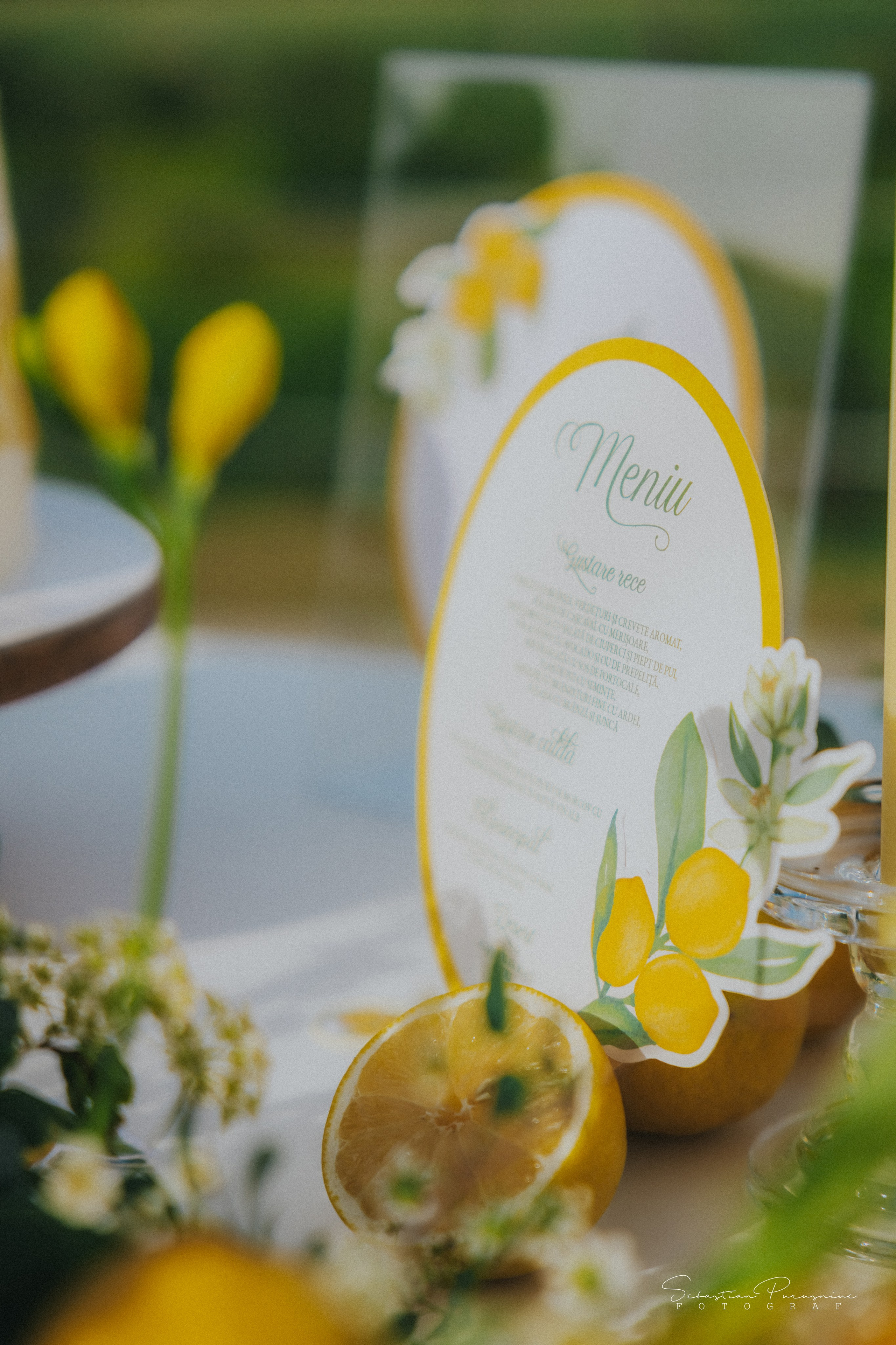 Love & Lemons. Sebastian Purusniuc Fotograf - Iasi