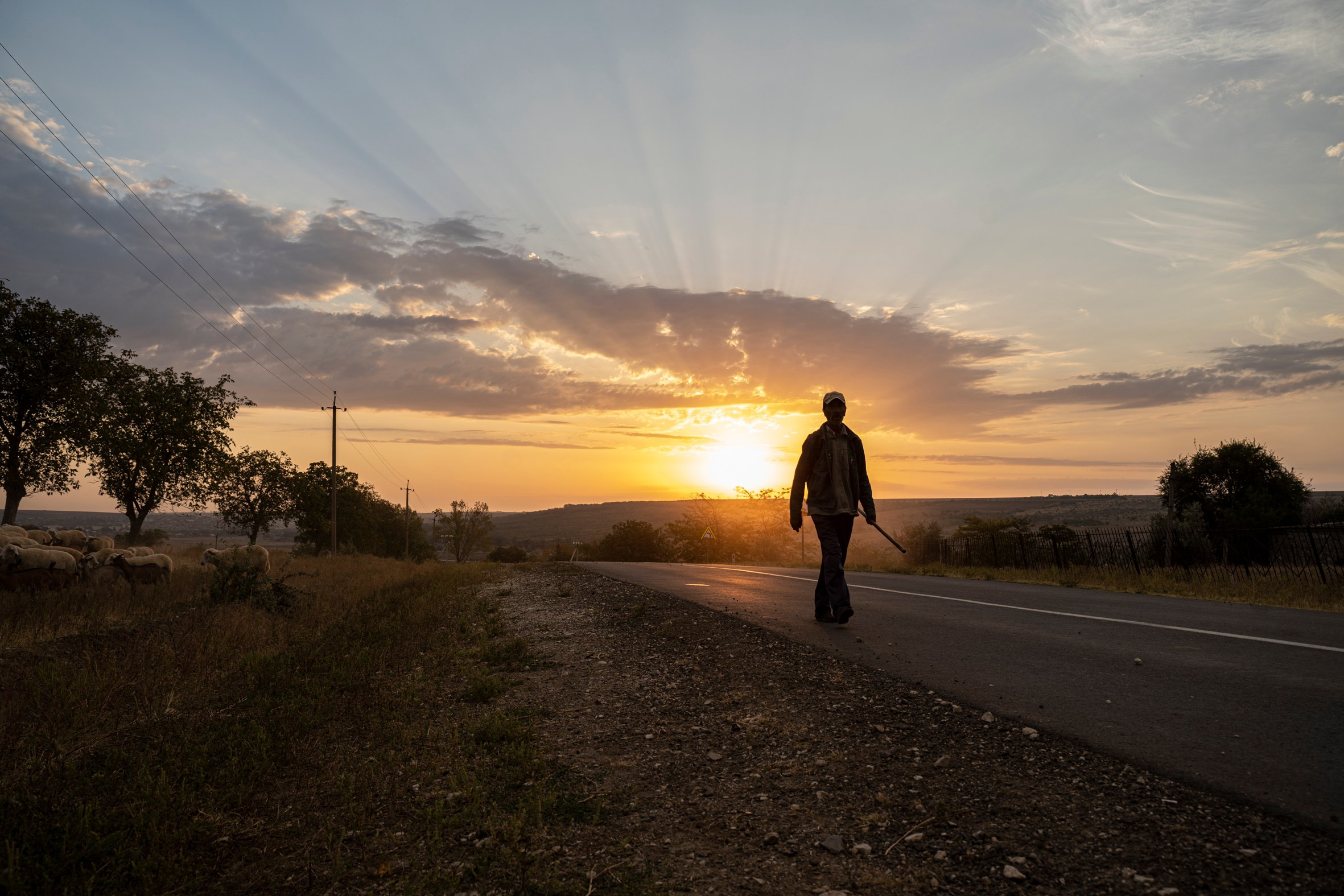 Контакты. Фотограф в Кишиневе, Чадыр-Лунге, в Комрате Ковалева Зинаида