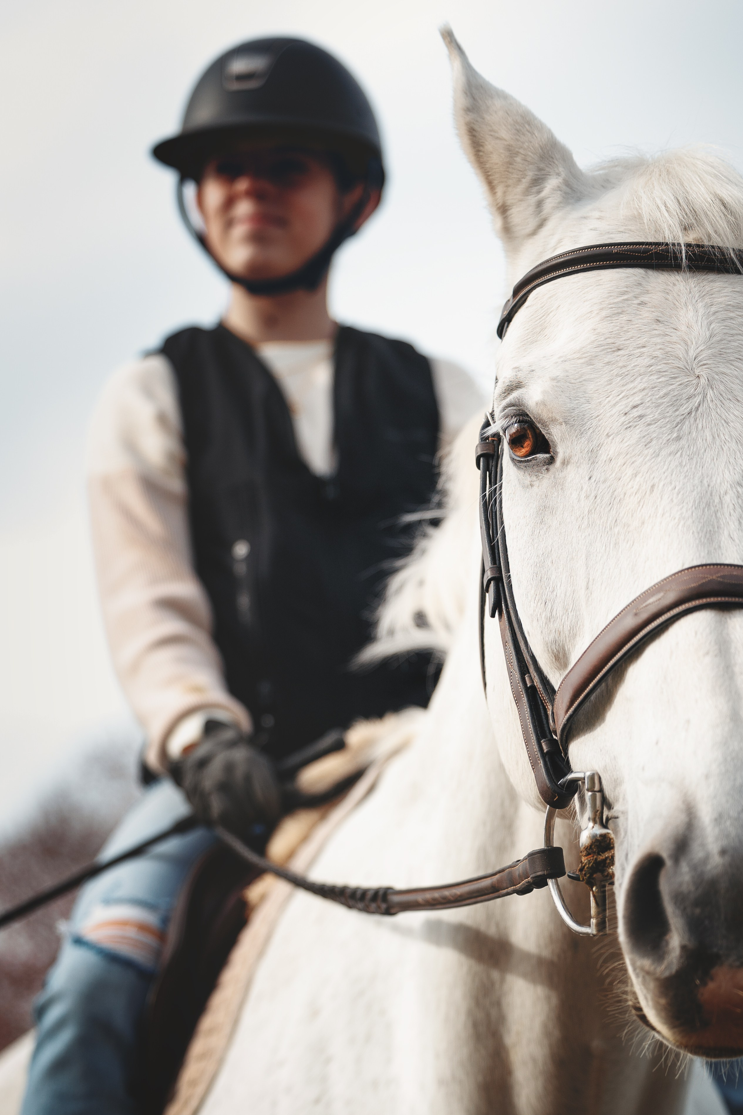 Jet Puff & Wynter. Pet Photographer Viktoriya Aleshenko