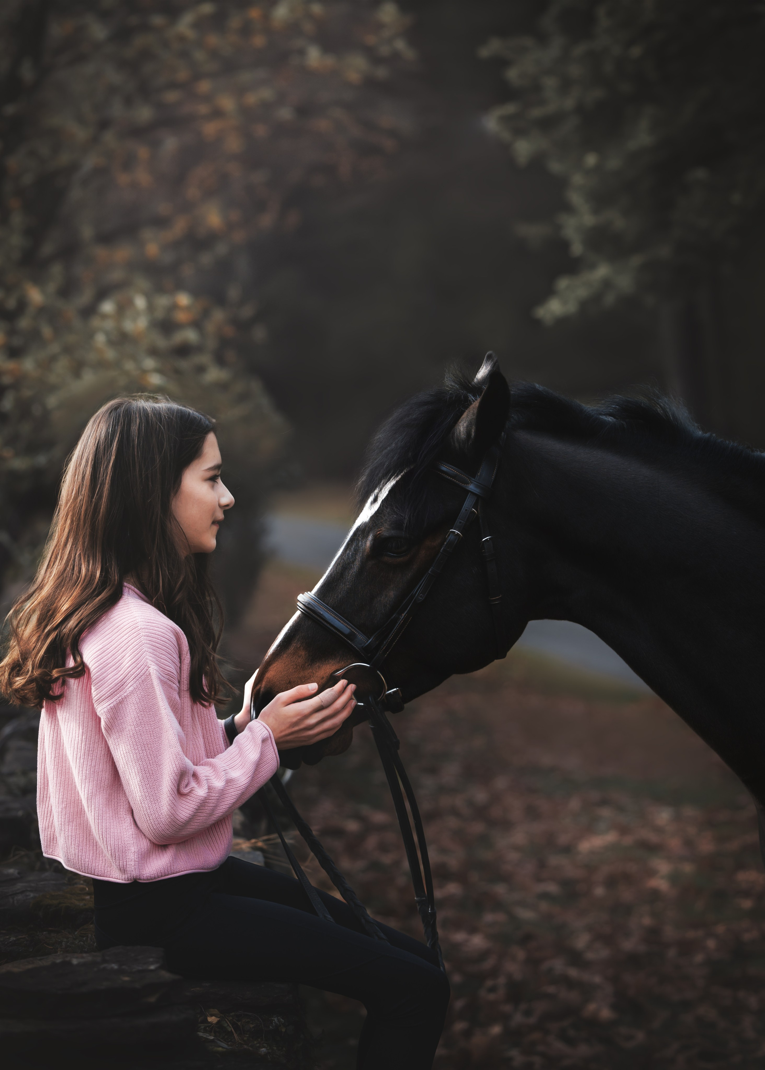 Whiskey & Ava. Pet Photographer Viktoriya Aleshenko