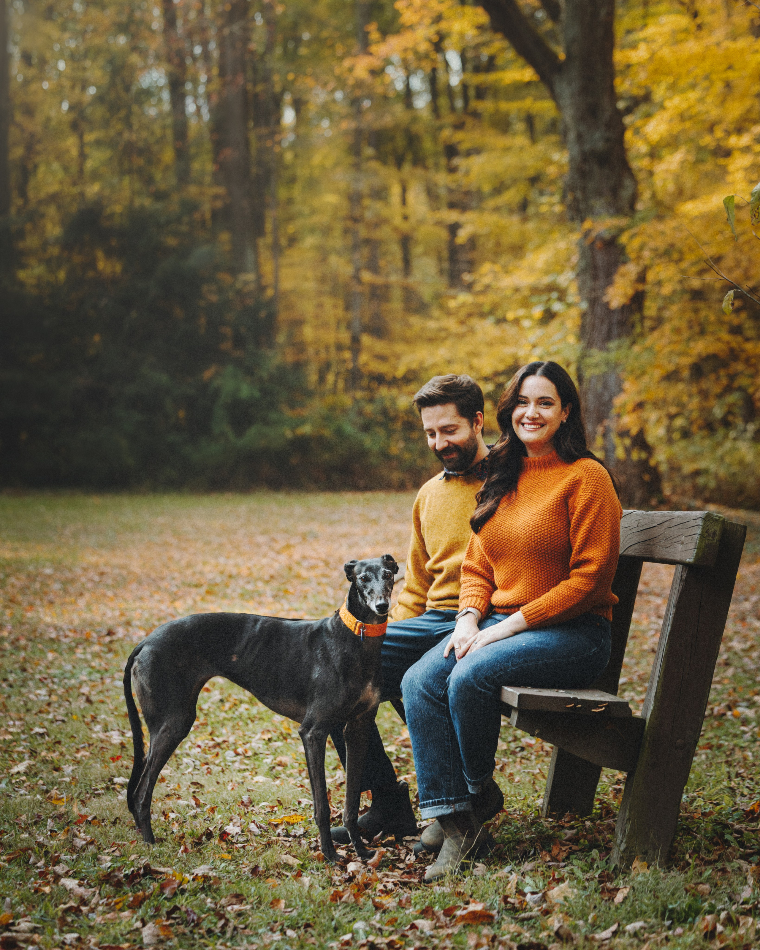 Tilly, Kati & Landon. Pet Photographer Viktoriya Aleshenko
