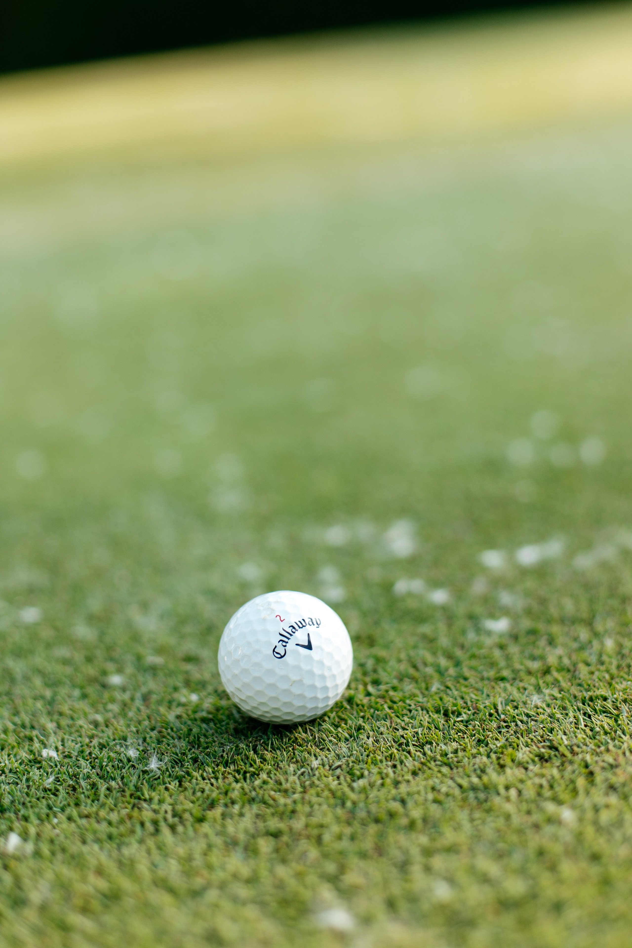 Content. Family photographer in Prague and Europe Francesca