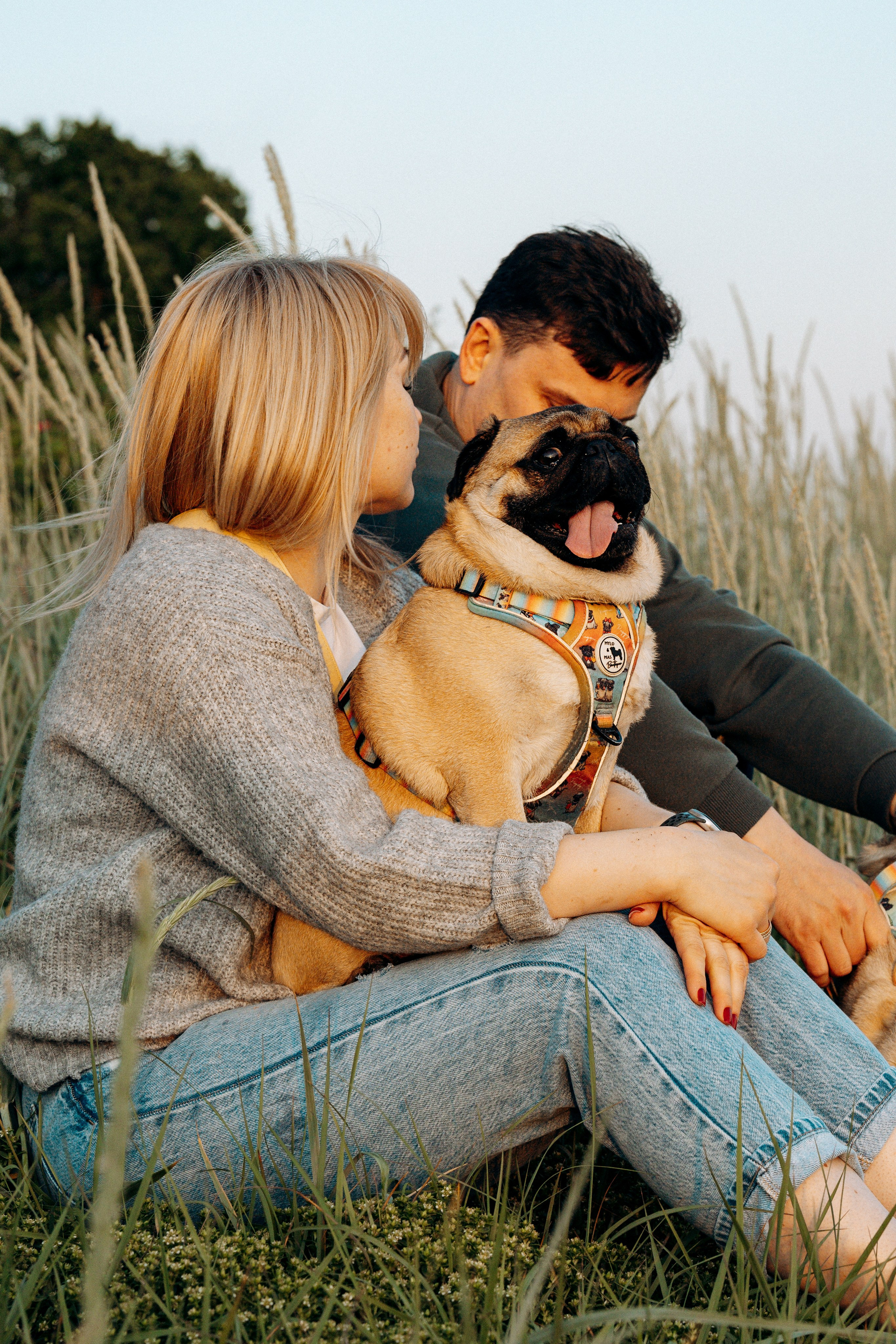 Frank, Tony, Katerina & Lev. Kat Laisaar — Pet photographer in Tallinn