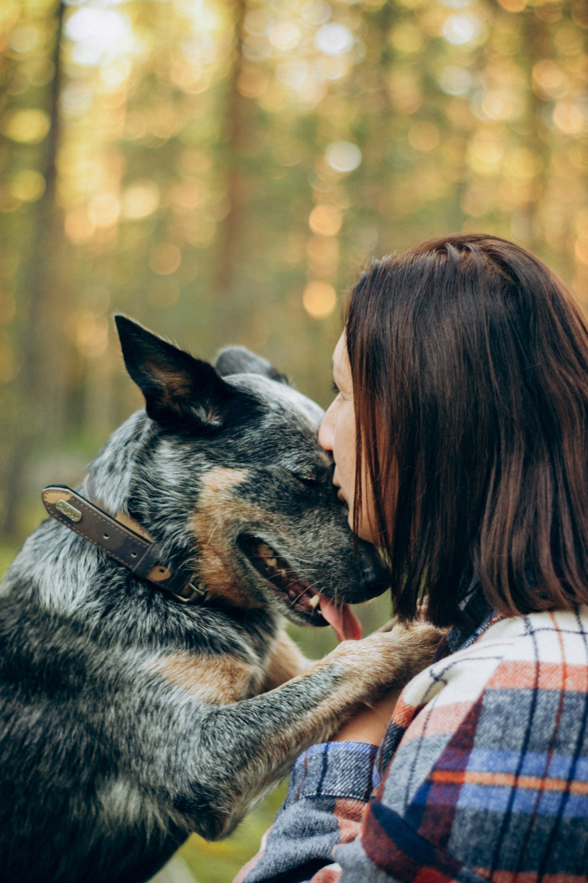 Polina and her Dakota, Blue Heeler. Kat Laisaar — Pet photographer in Tallinn
