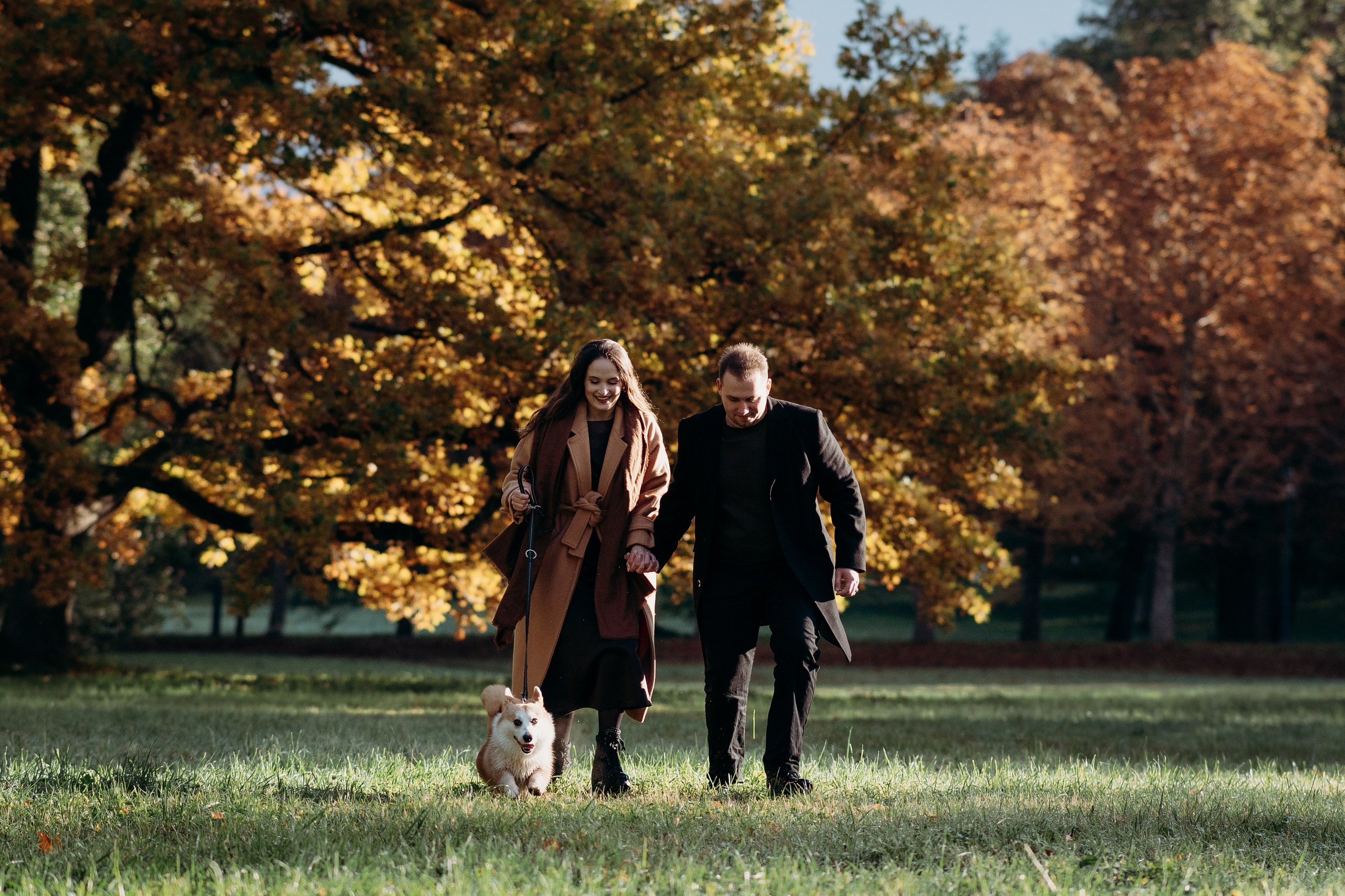 Liisa, Alexander & Marsel. Фотограф-анималист в Таллинне, Катя Лайсаар