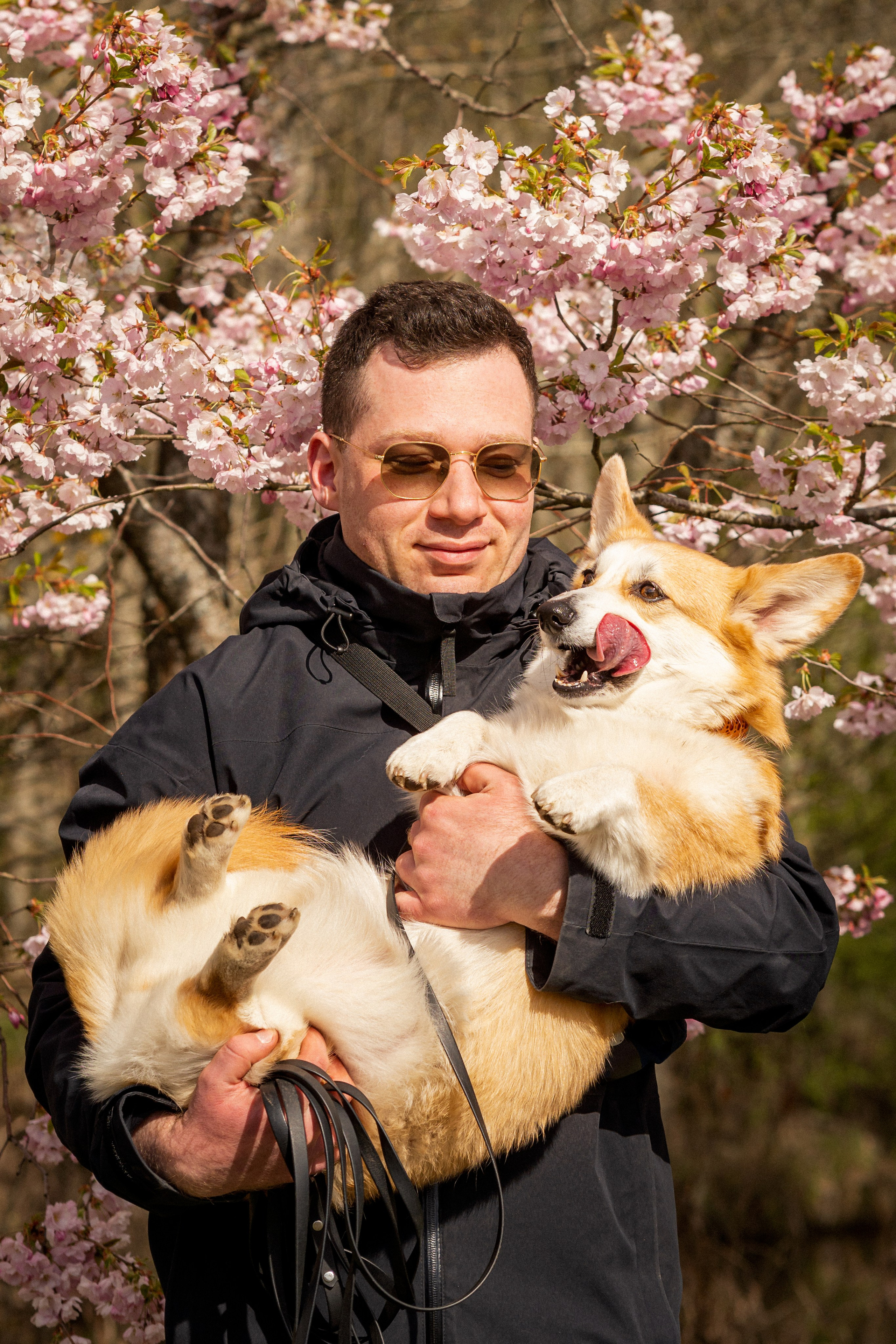Testimonials. Kat Laisaar — Pet photographer in Tallinn