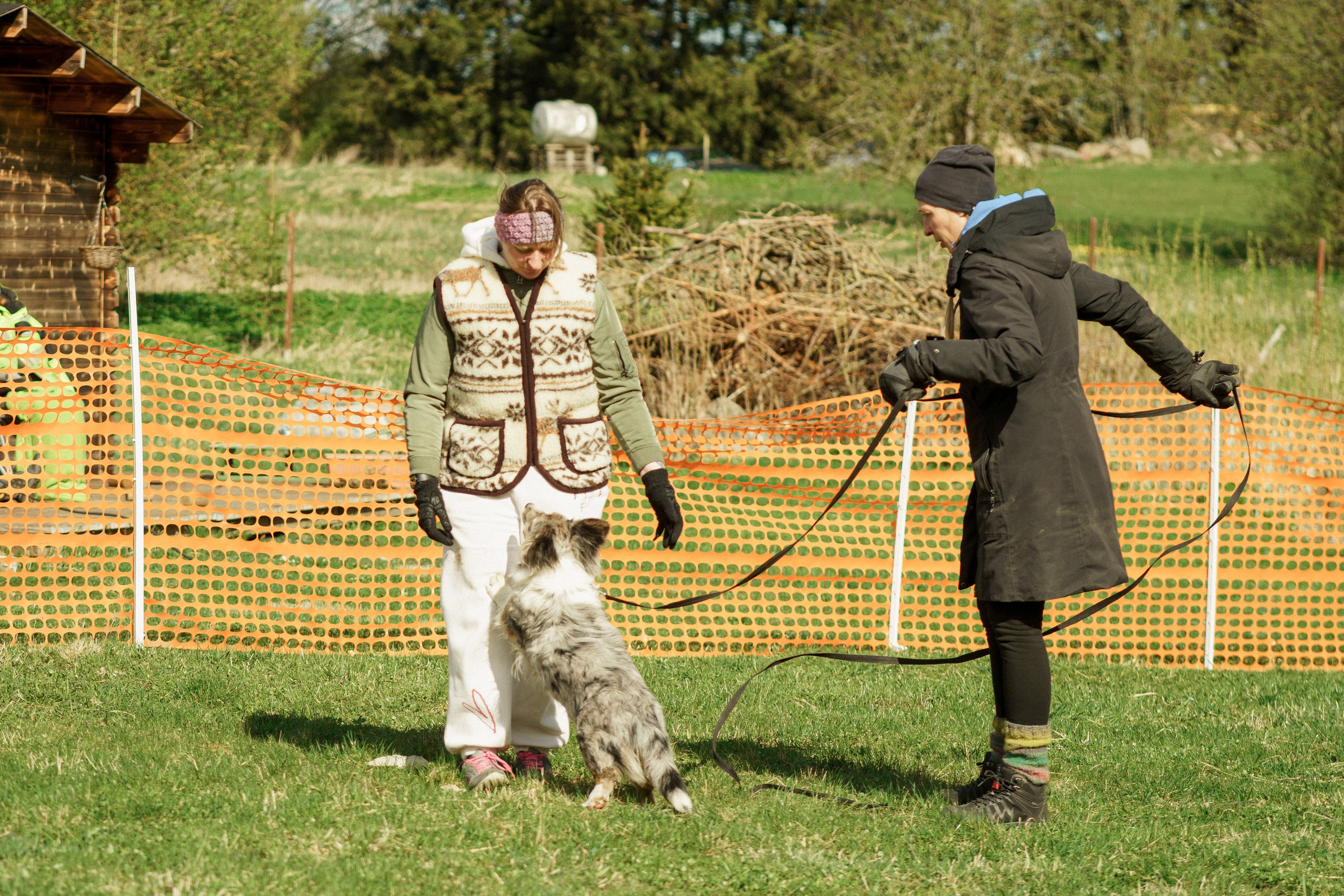 Herding Days, 26 apr. 2025. Kat Laisaar — Pet photographer in Tallinn