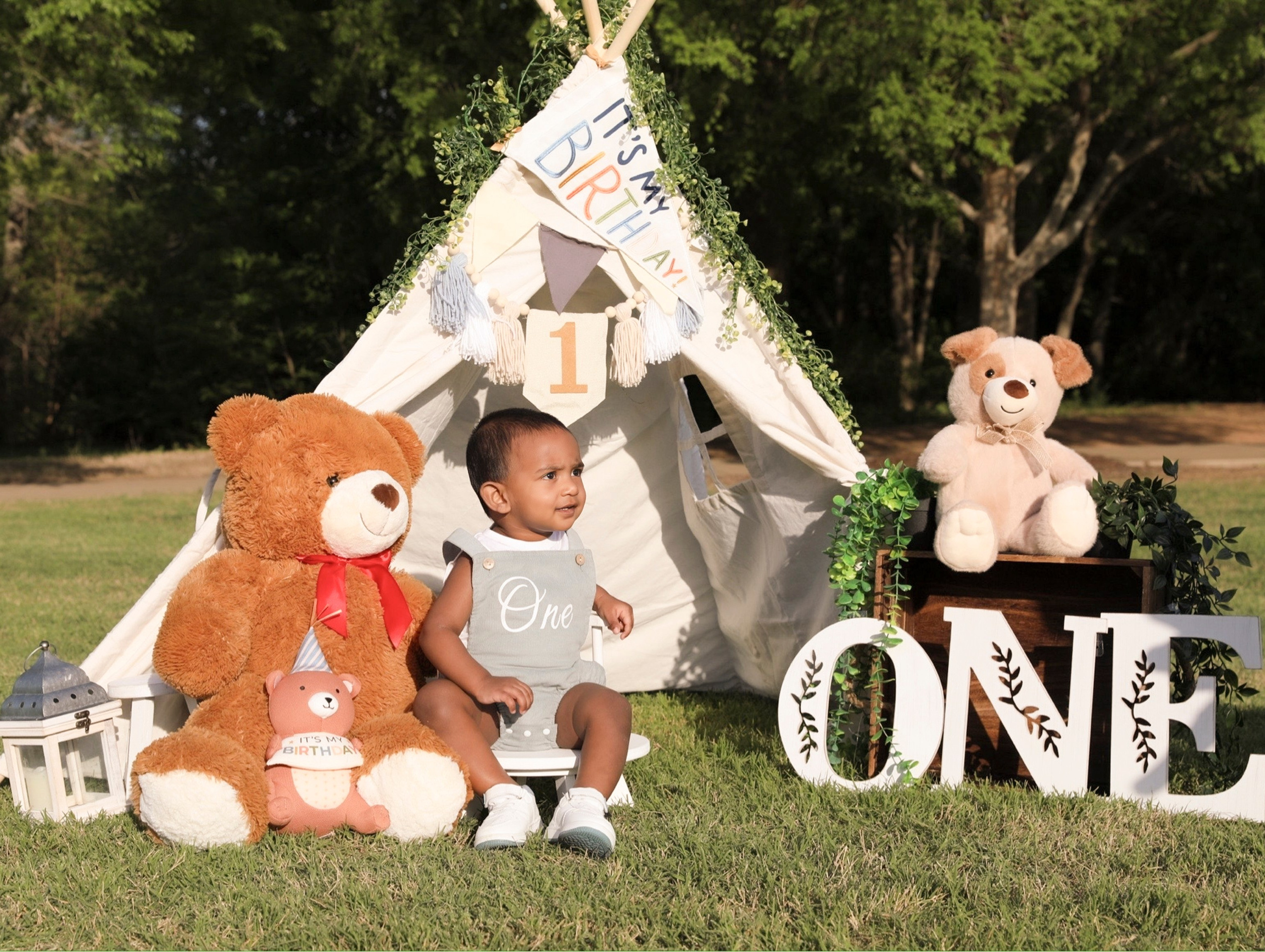 Cakesmash. AP Lens Photography | Newborn, Maternity, Milestone & Family Photographer Little Elm TX