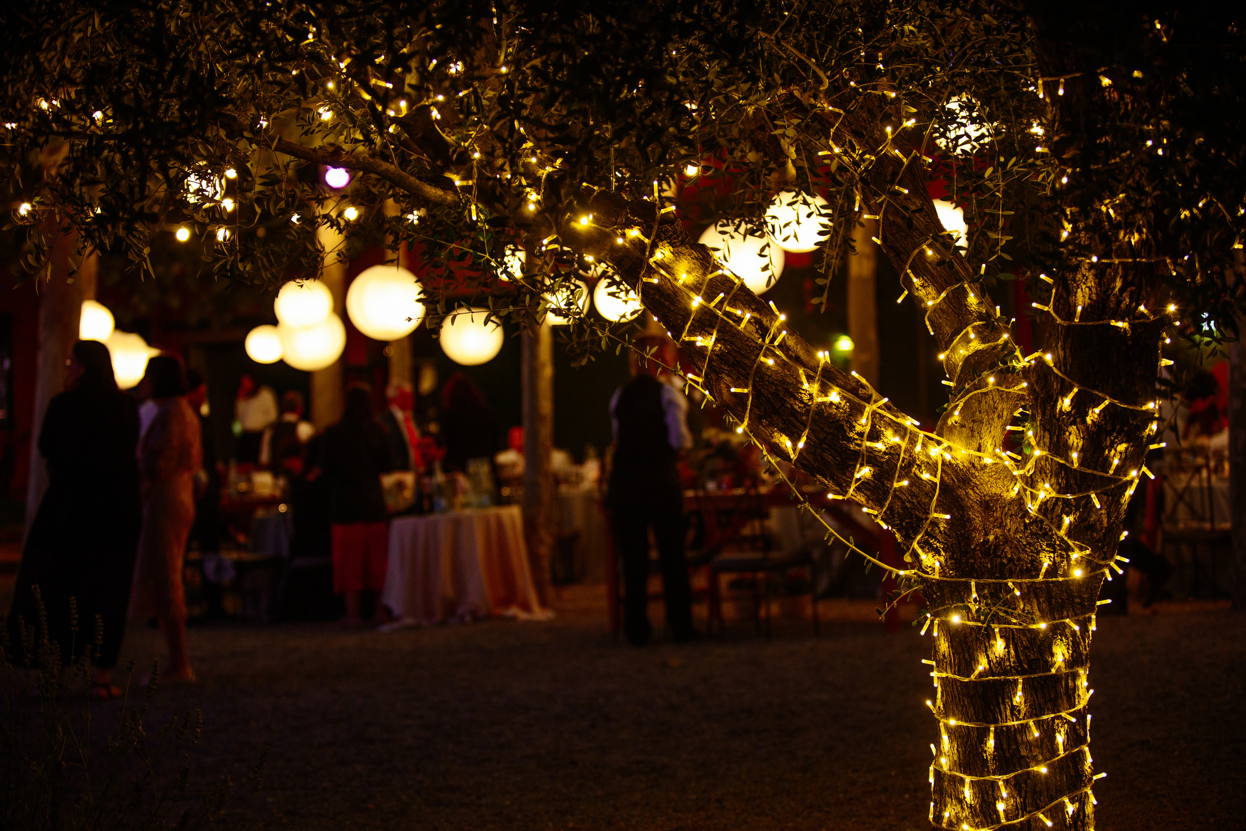 Agnese & Gal. Fotógrafa Ekaterina Gasanova - sesiones de fotos en Barcelona