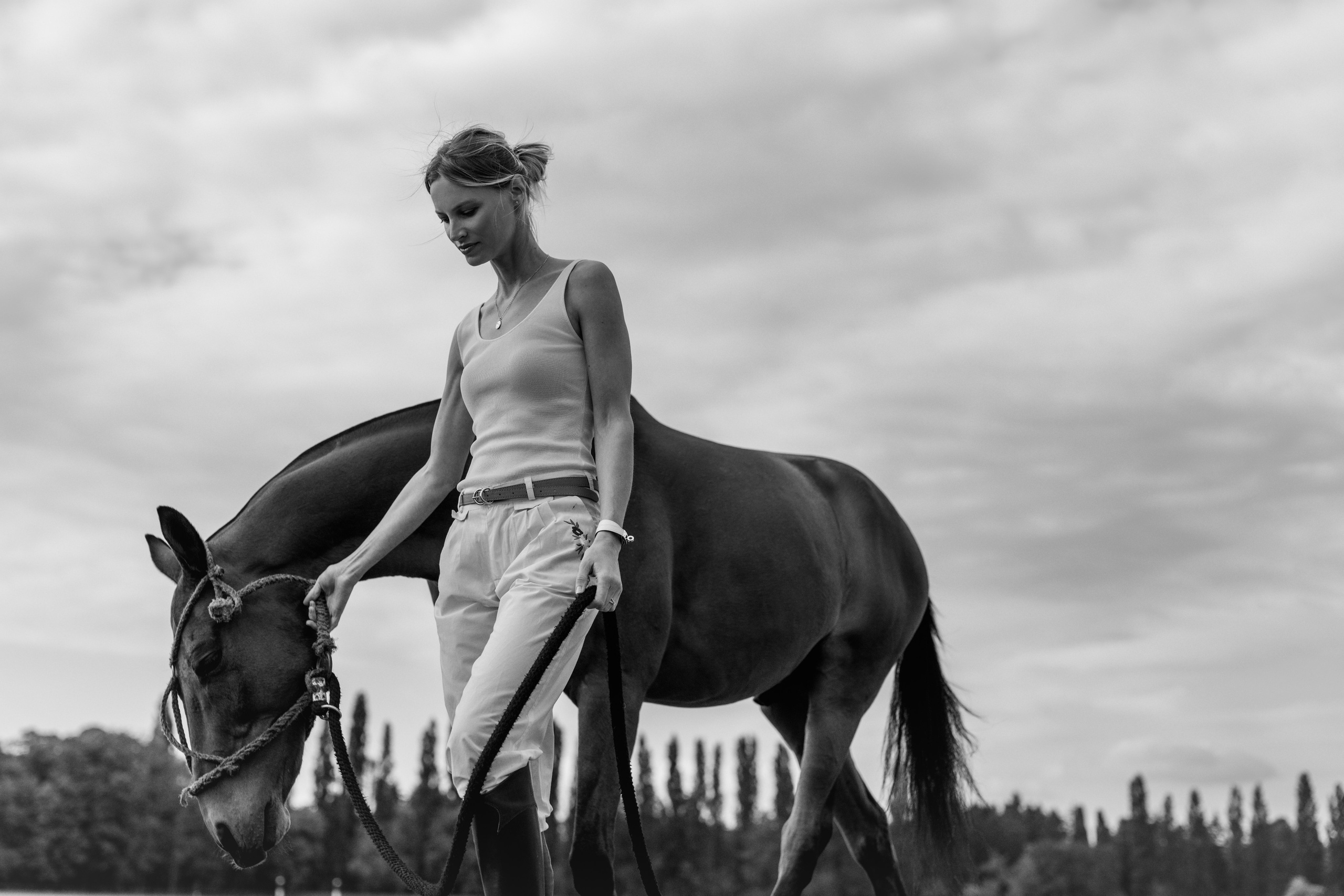 Photo shoot with horses