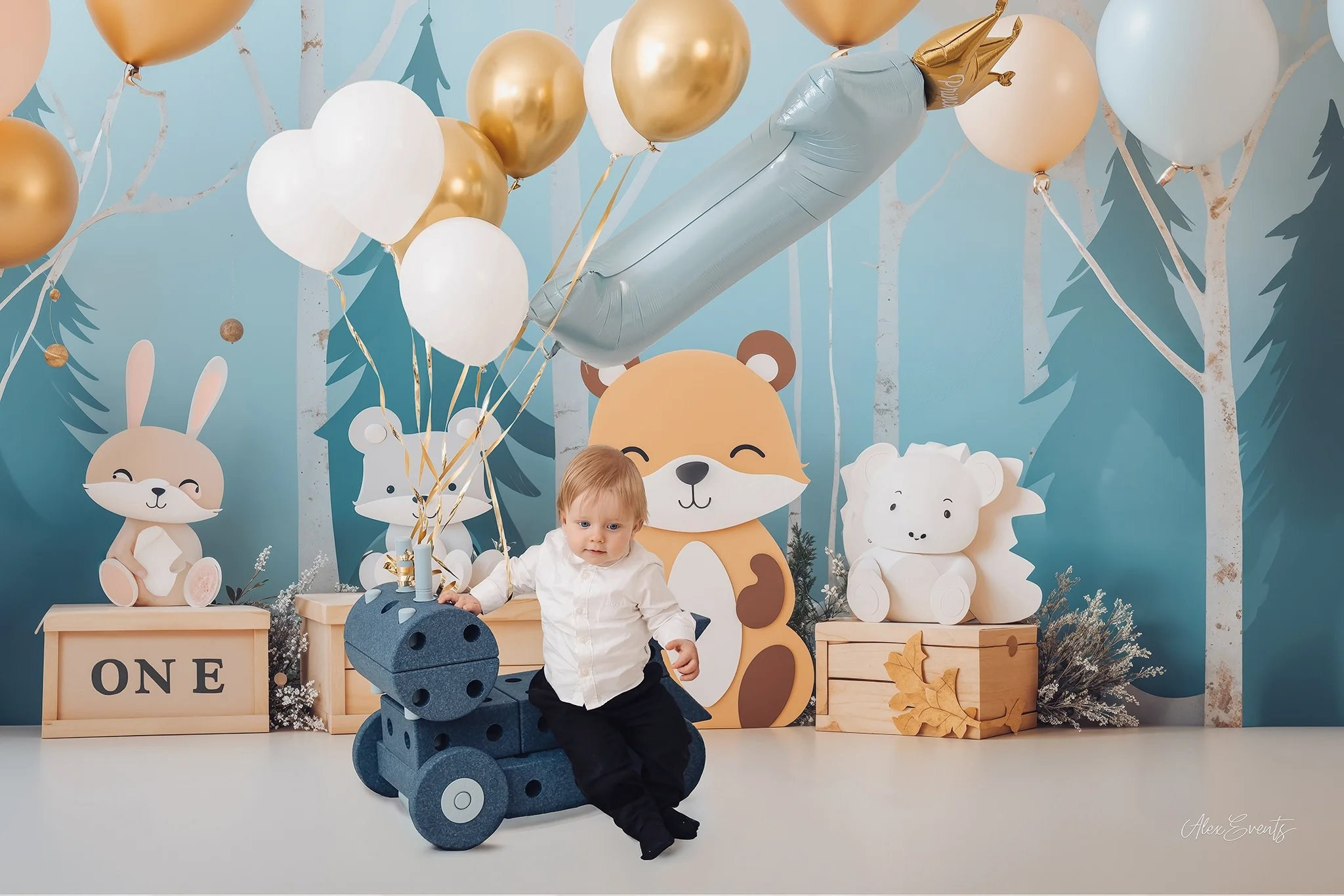 Photo Session Smash the Cake Danemarca — Studio Photo ONE | AlexEvents. AlexEvents | Wedding and Baptism Photographer & Videographer in Denmark and Germany