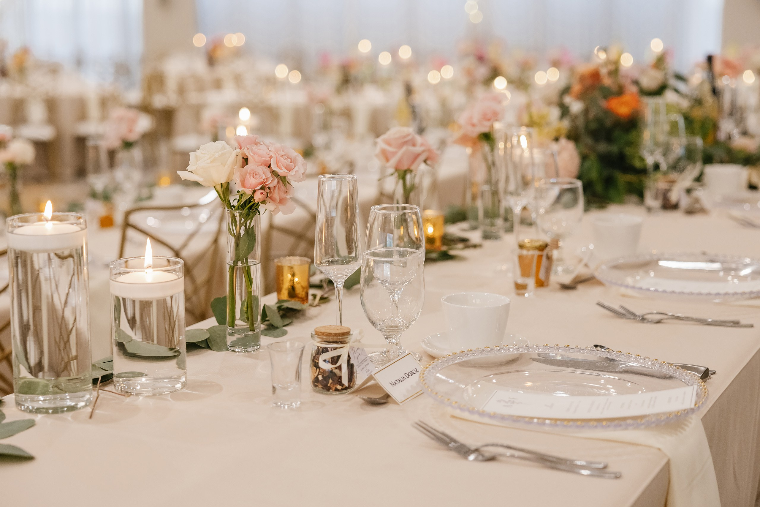 09.06.2025 Wedding. Wedding family event photographer in Chicago Nick Yushevich