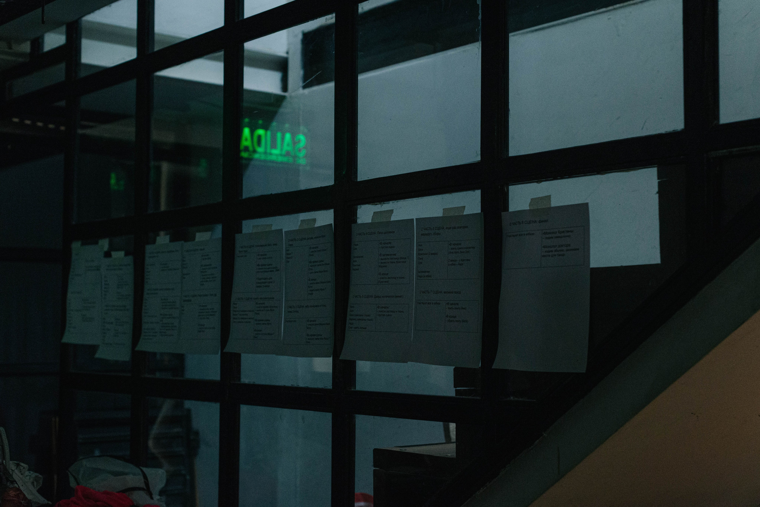 Анонс. Полковник и птицы. Фотограф @elmirkami в городе Буэнос-Айрес