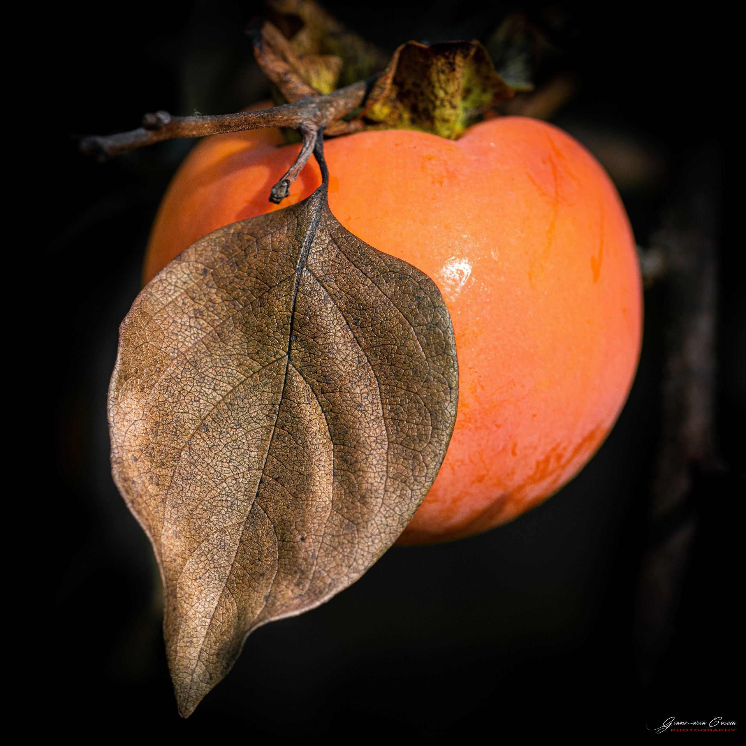 Frutta & Verdura. “Gianmaria Coscia fotografo per passione”