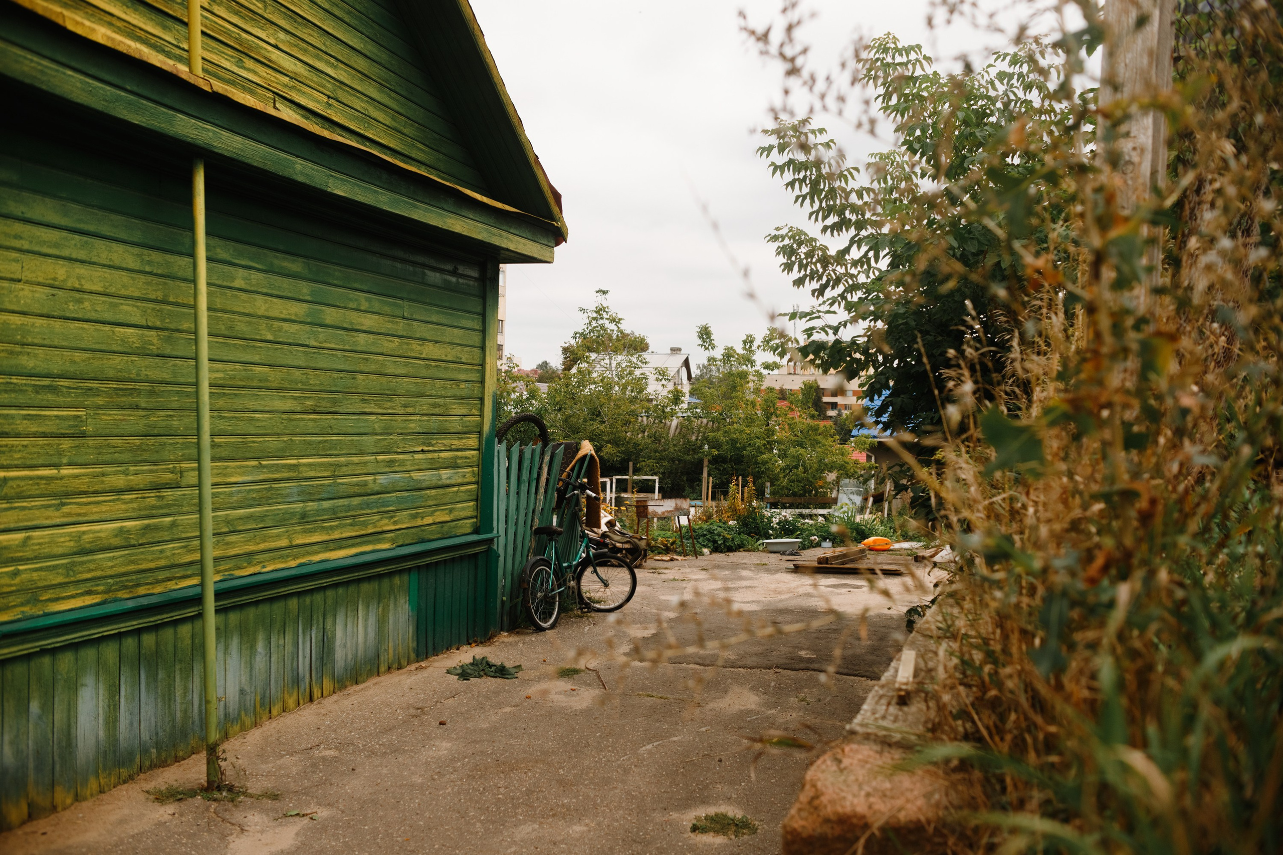 Grodno. Kaja | fotograf we Wrocławiu | ludzie i psy