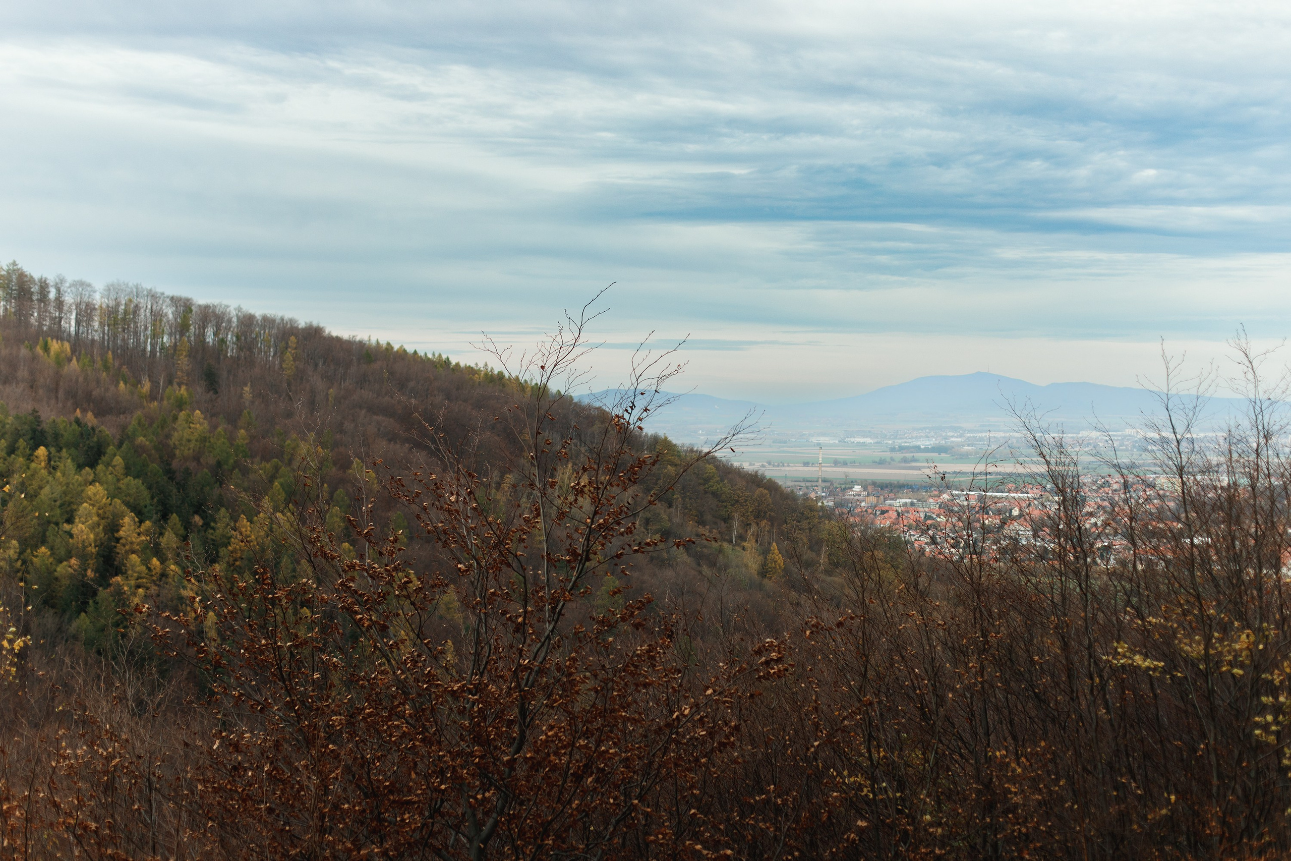 Sowie góry. Kaja | fotograf we Wrocławiu | ludzie i psy