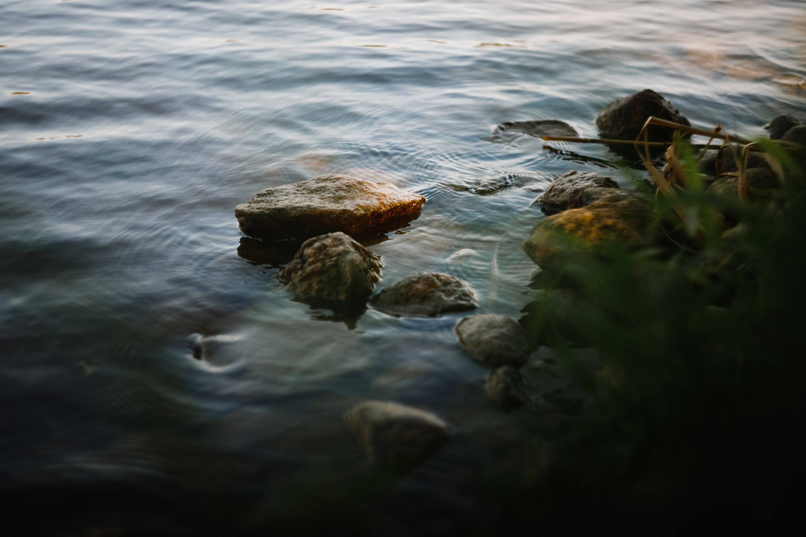 One small village in Grodno region. Kaja | fotograf we Wrocławiu | ludzie i psy