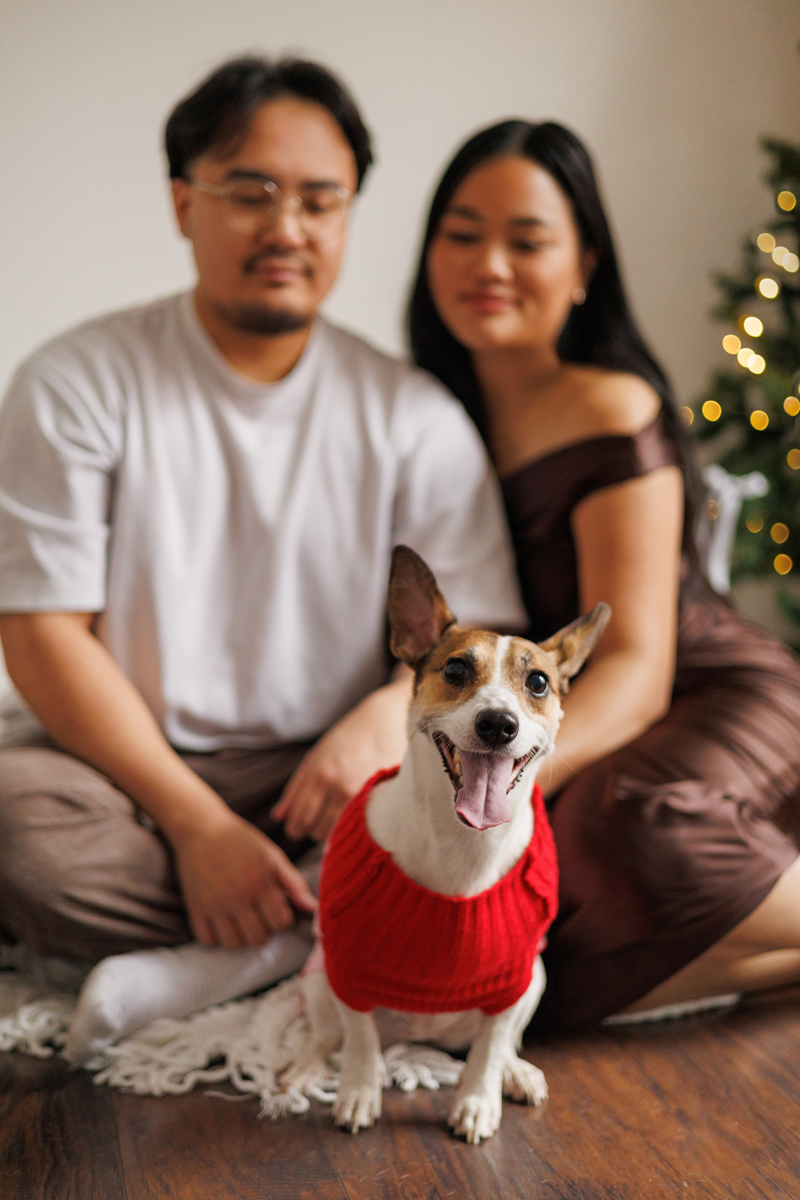 Photographer Ottawa, Love story, maternity, family photoshoot. Photographer Ottawa Jane Krasnopolska