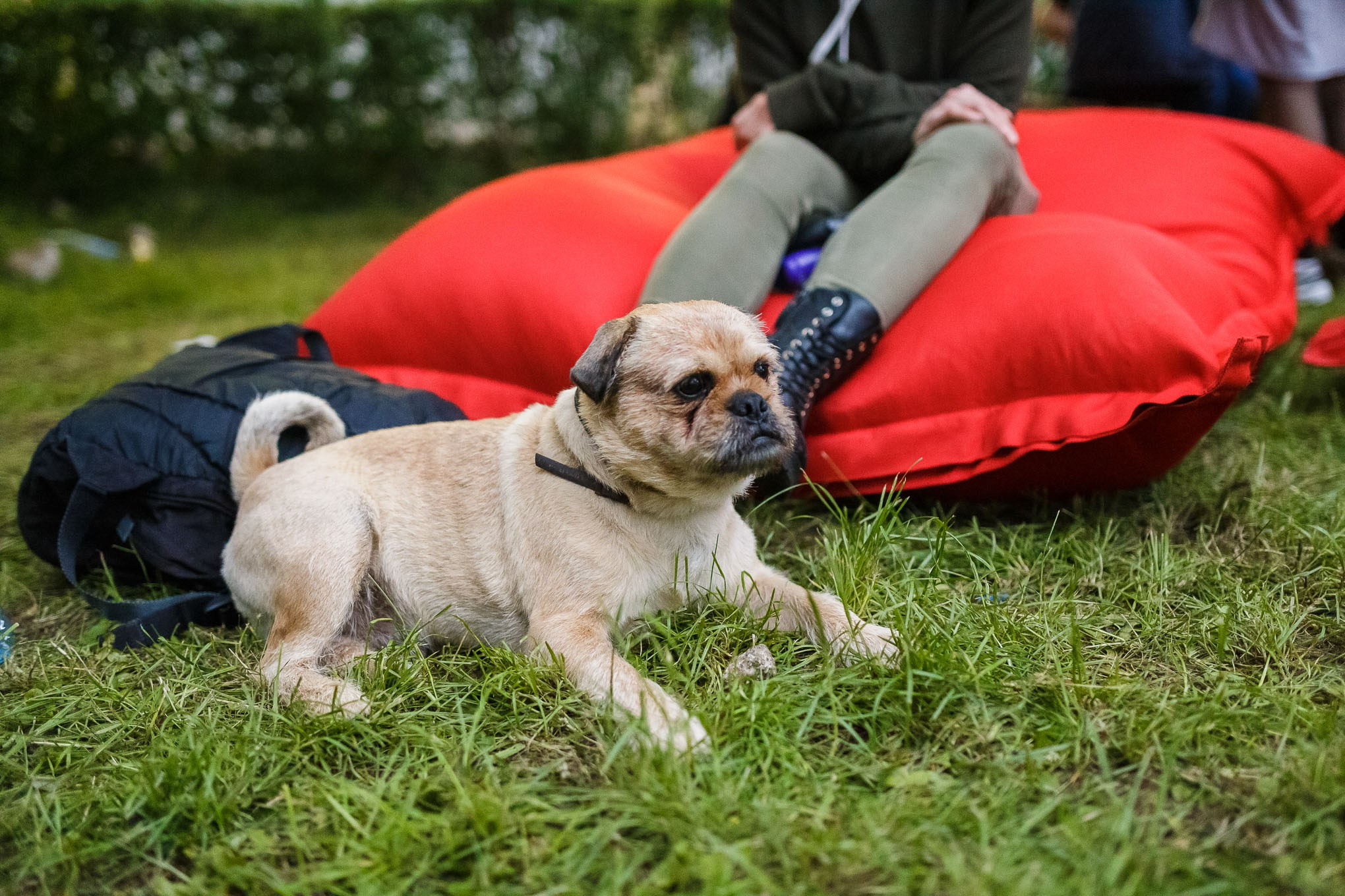 Ghibstock X Day 2. Contrast Studio