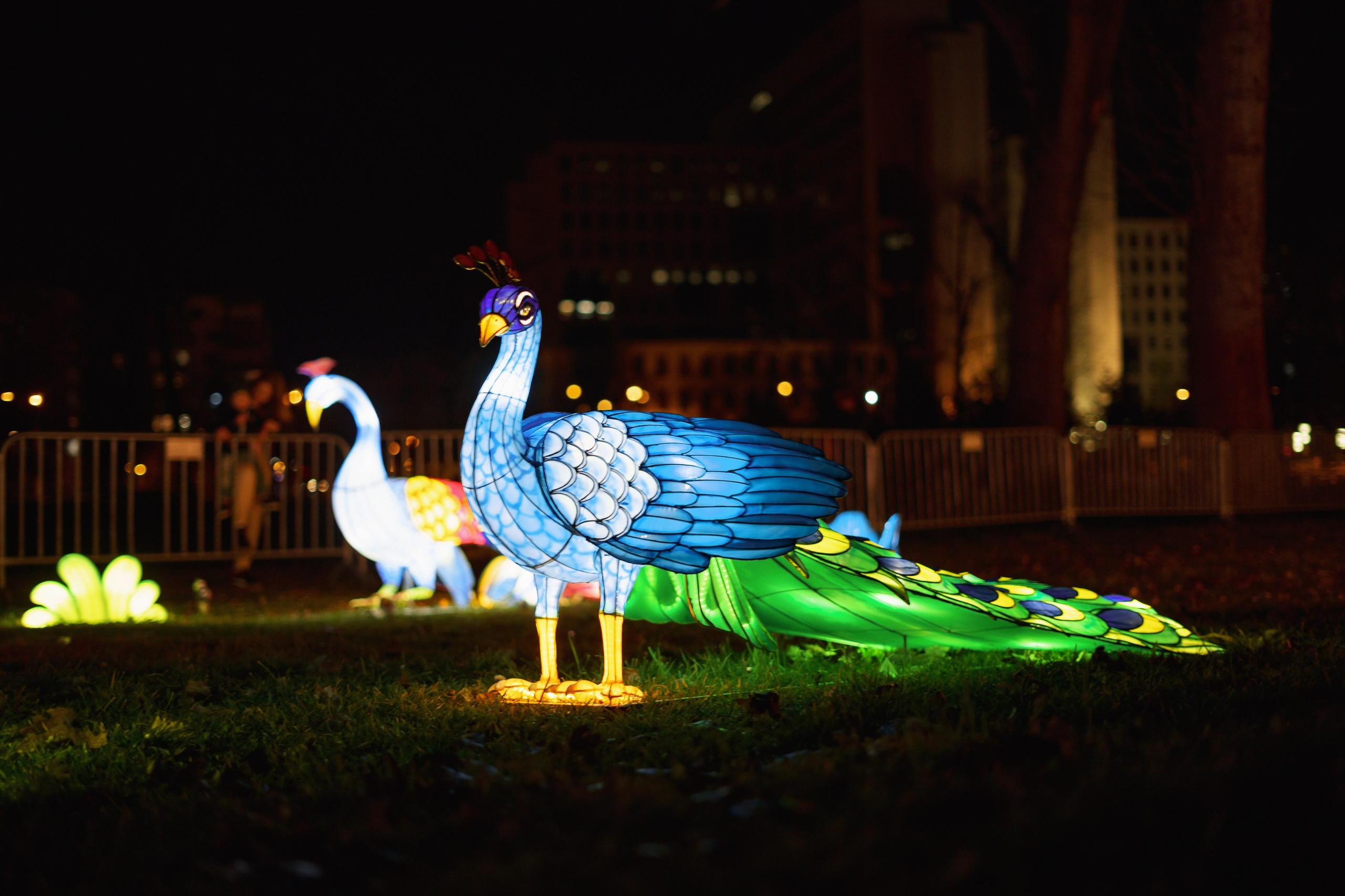 Svecano otvaranje Kineskog festivala svetla u Novom Sadu. Žukov Studio